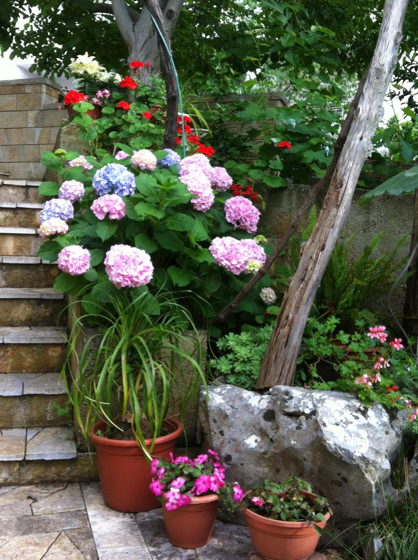 Photo 32