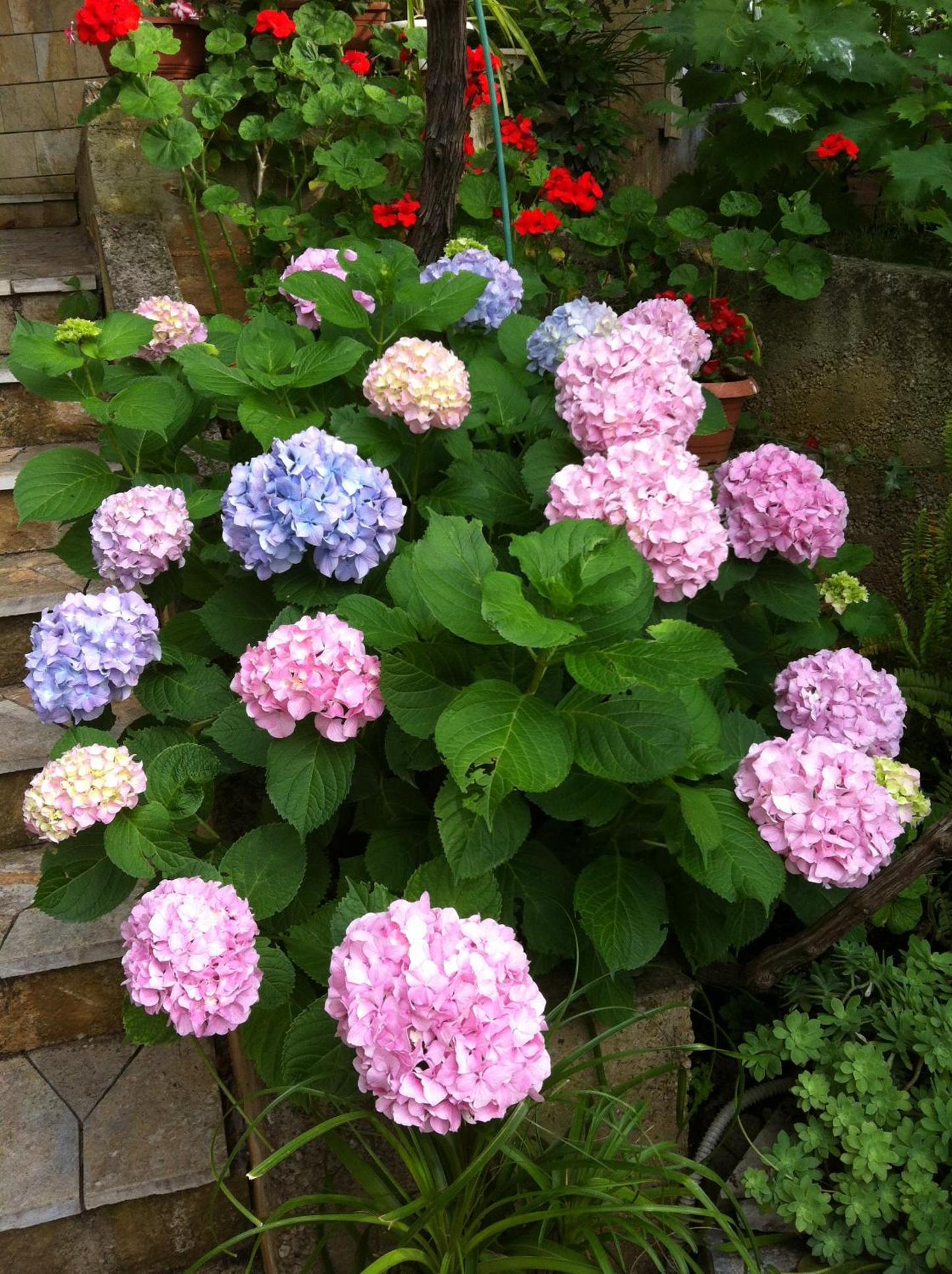 Photo 28