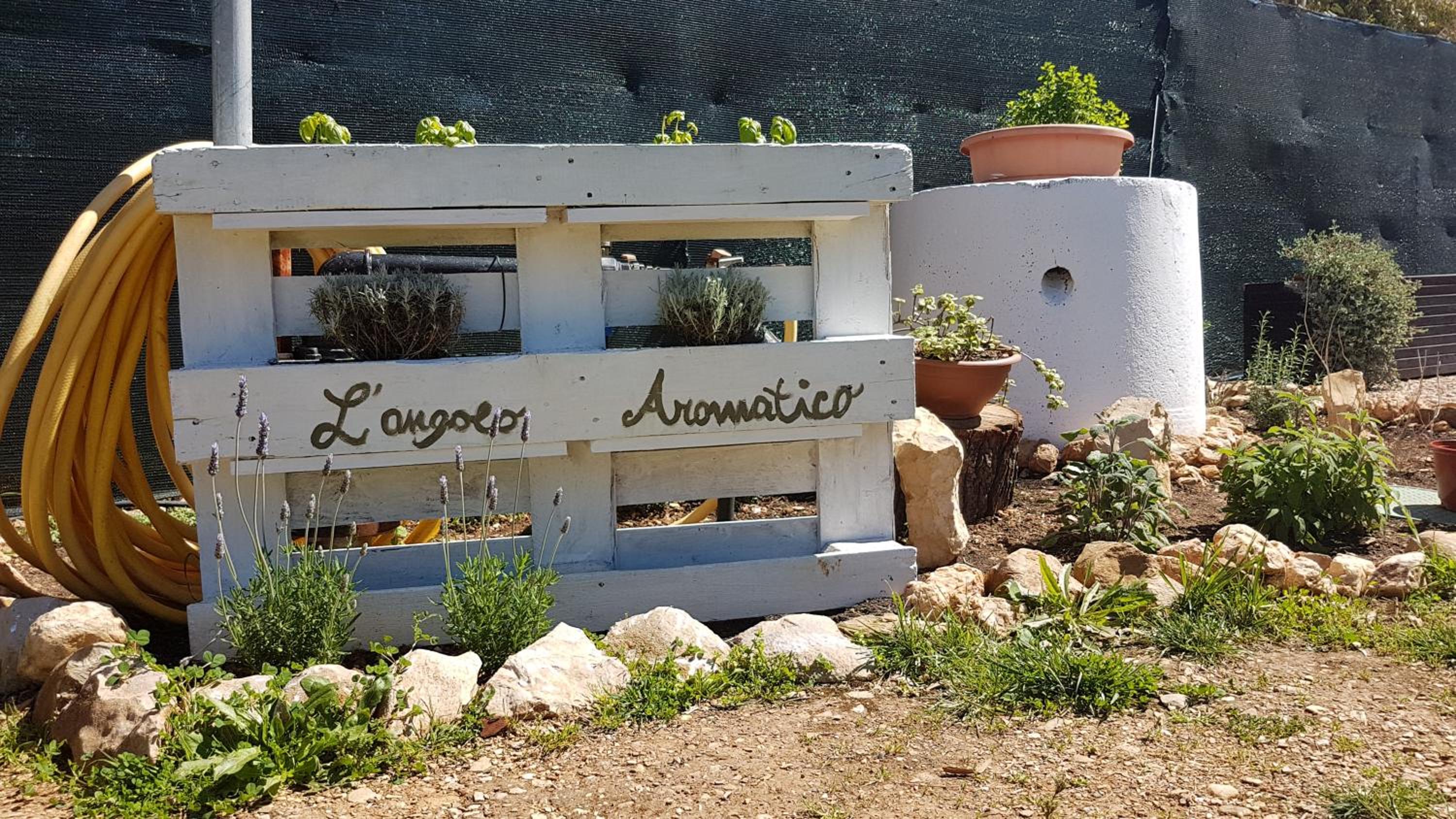 Guesthouse Pintadera