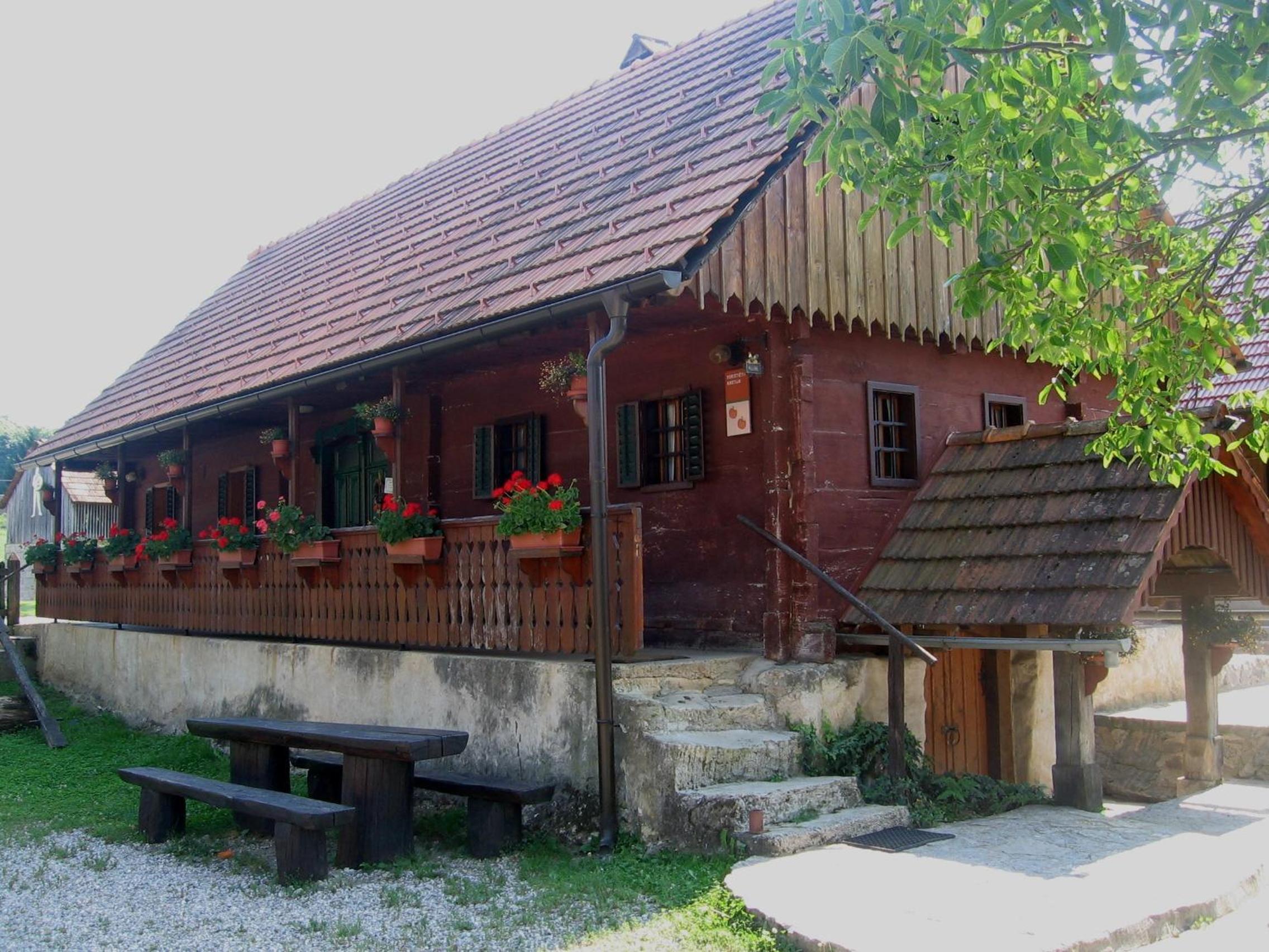 Photo 45