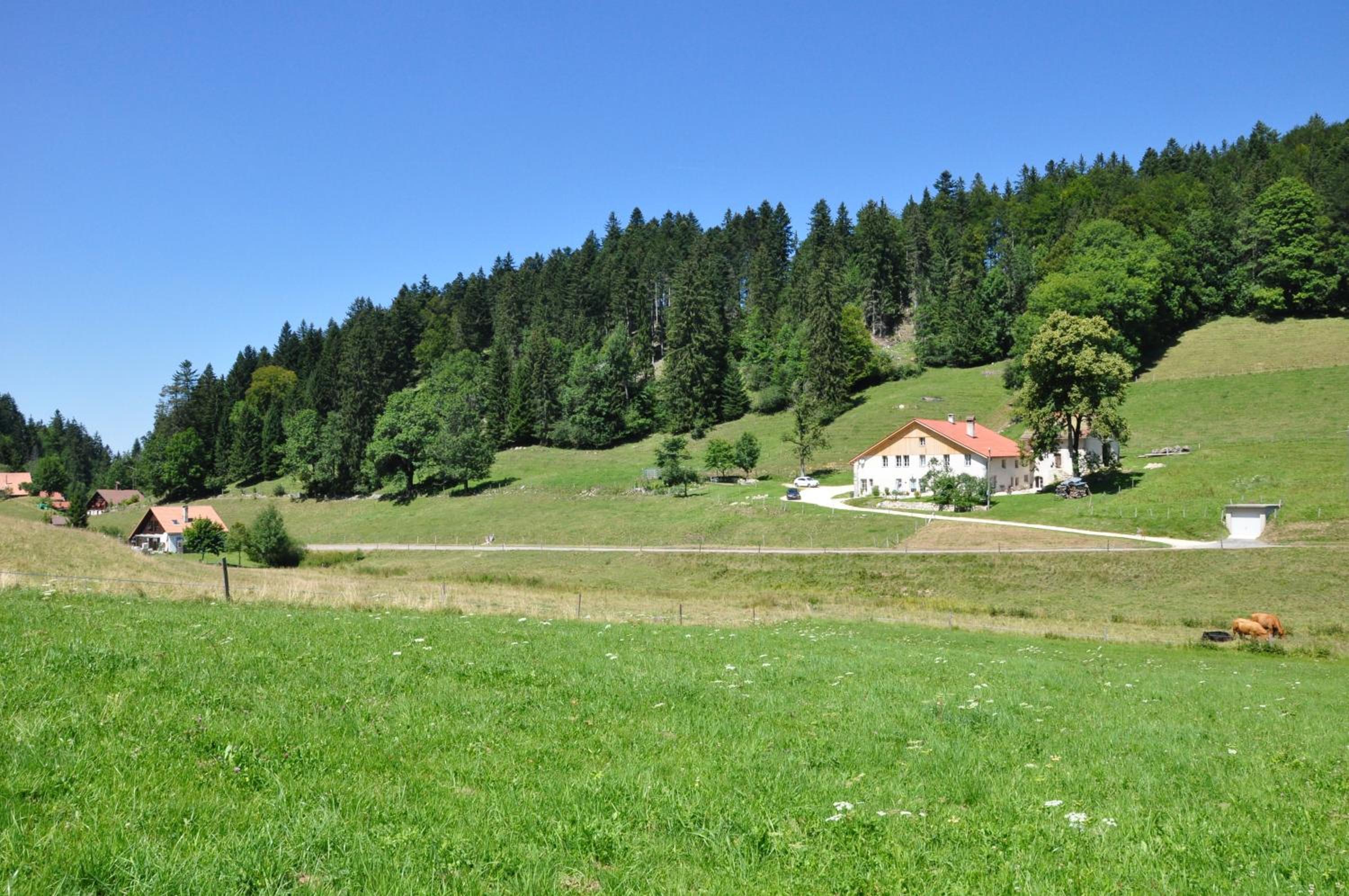 Relais de la Baume view 4