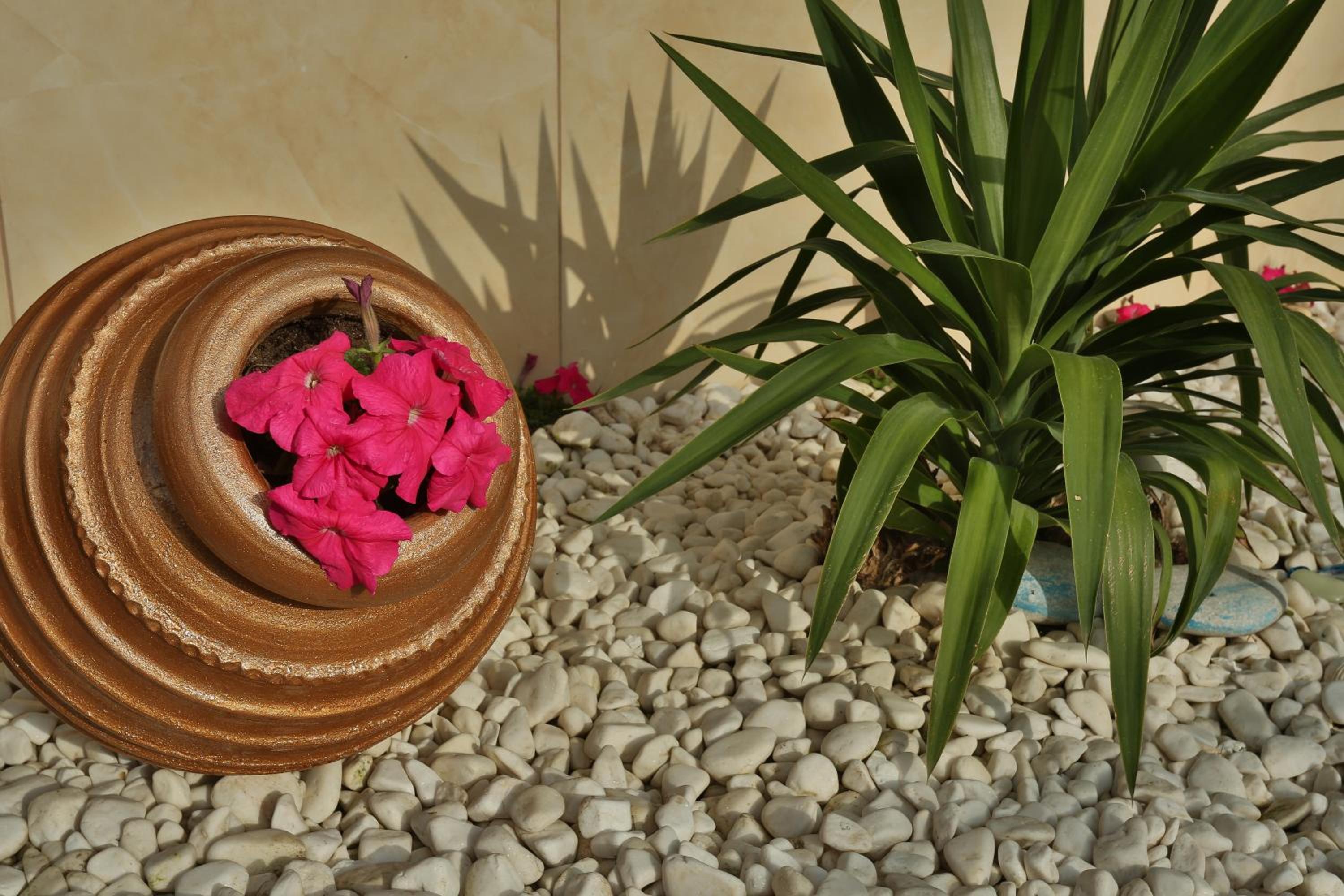 Irida Apartments