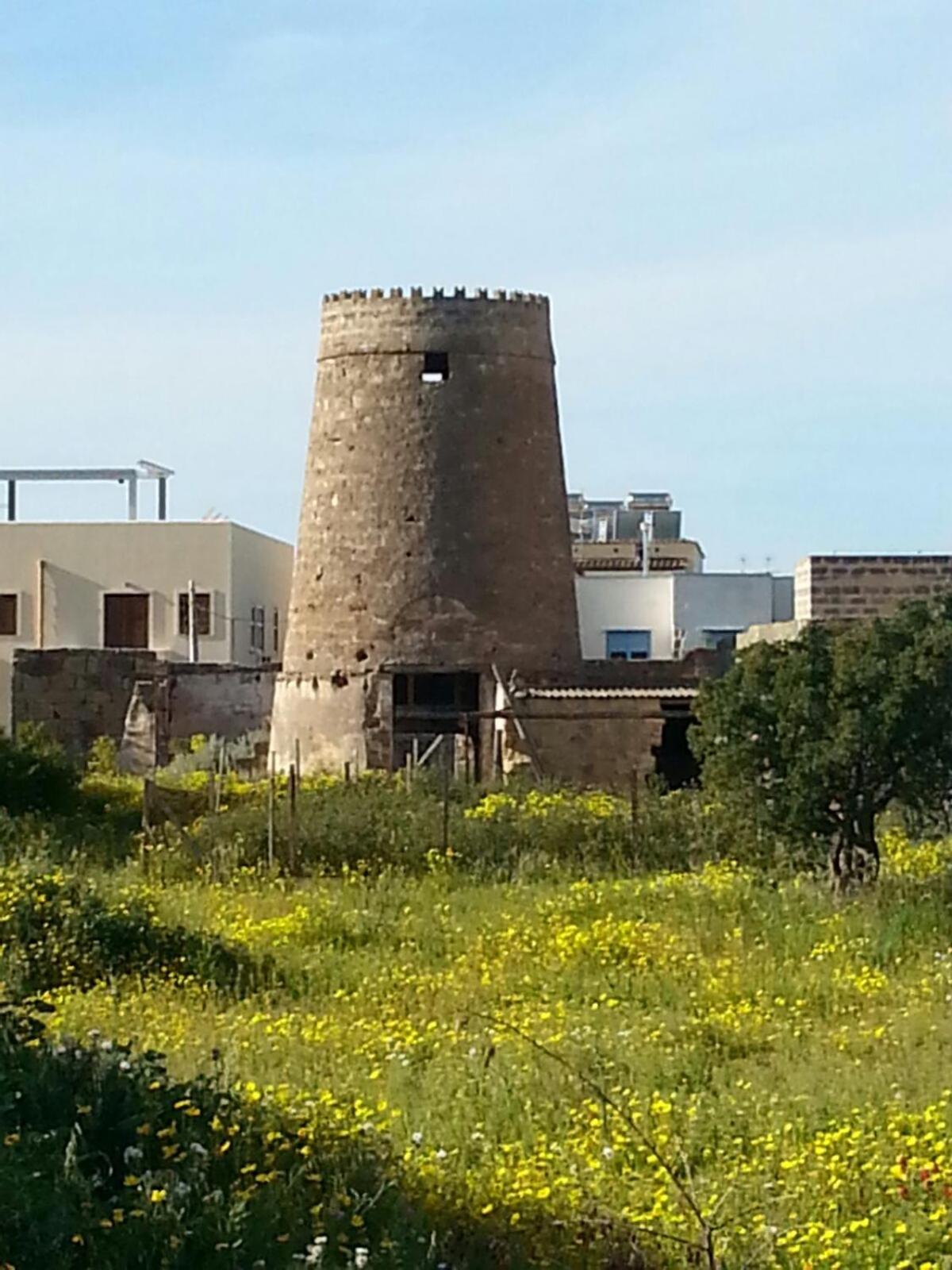 Il Mulino view 4