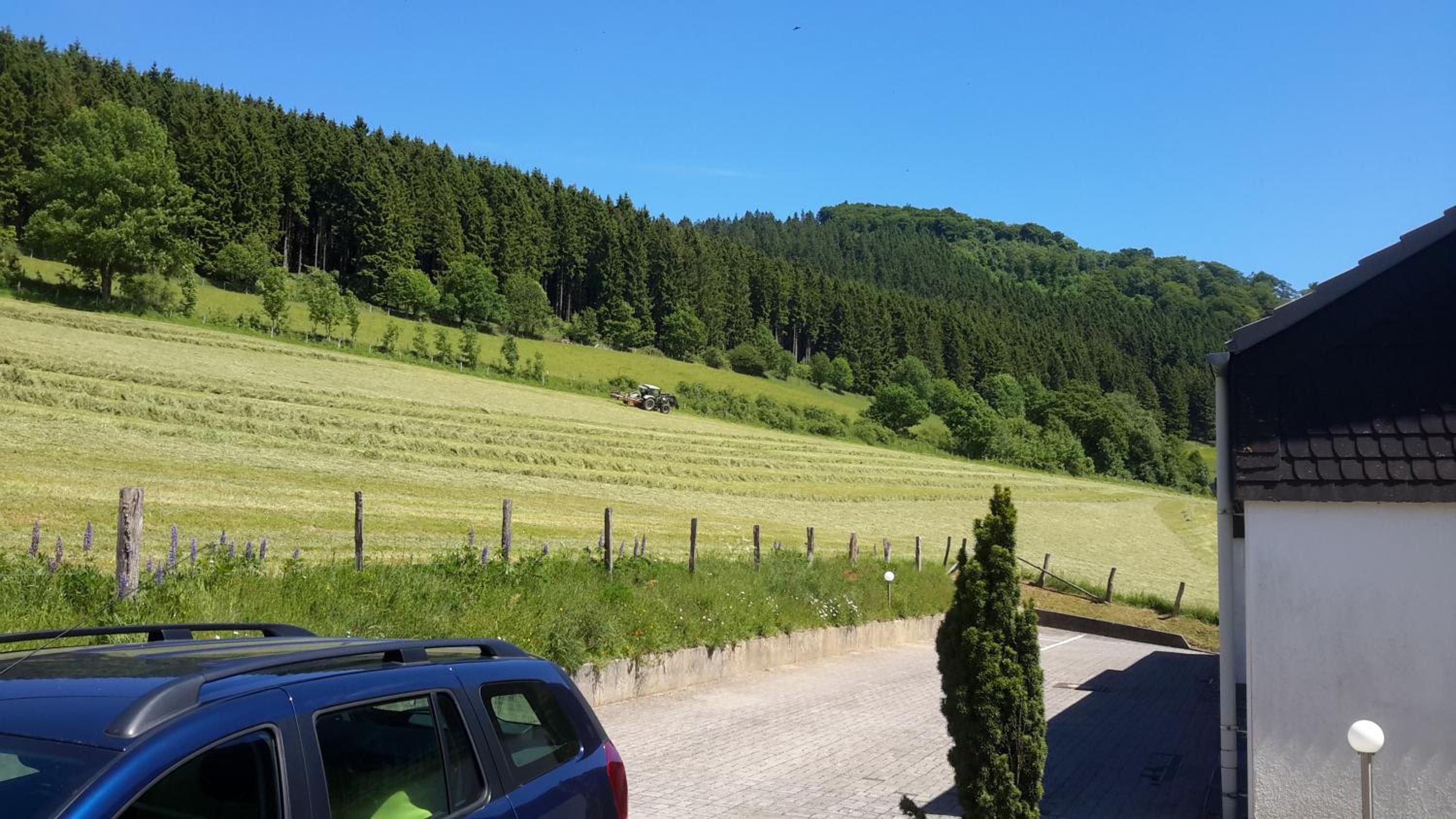 Niedersfeld Polzweg
