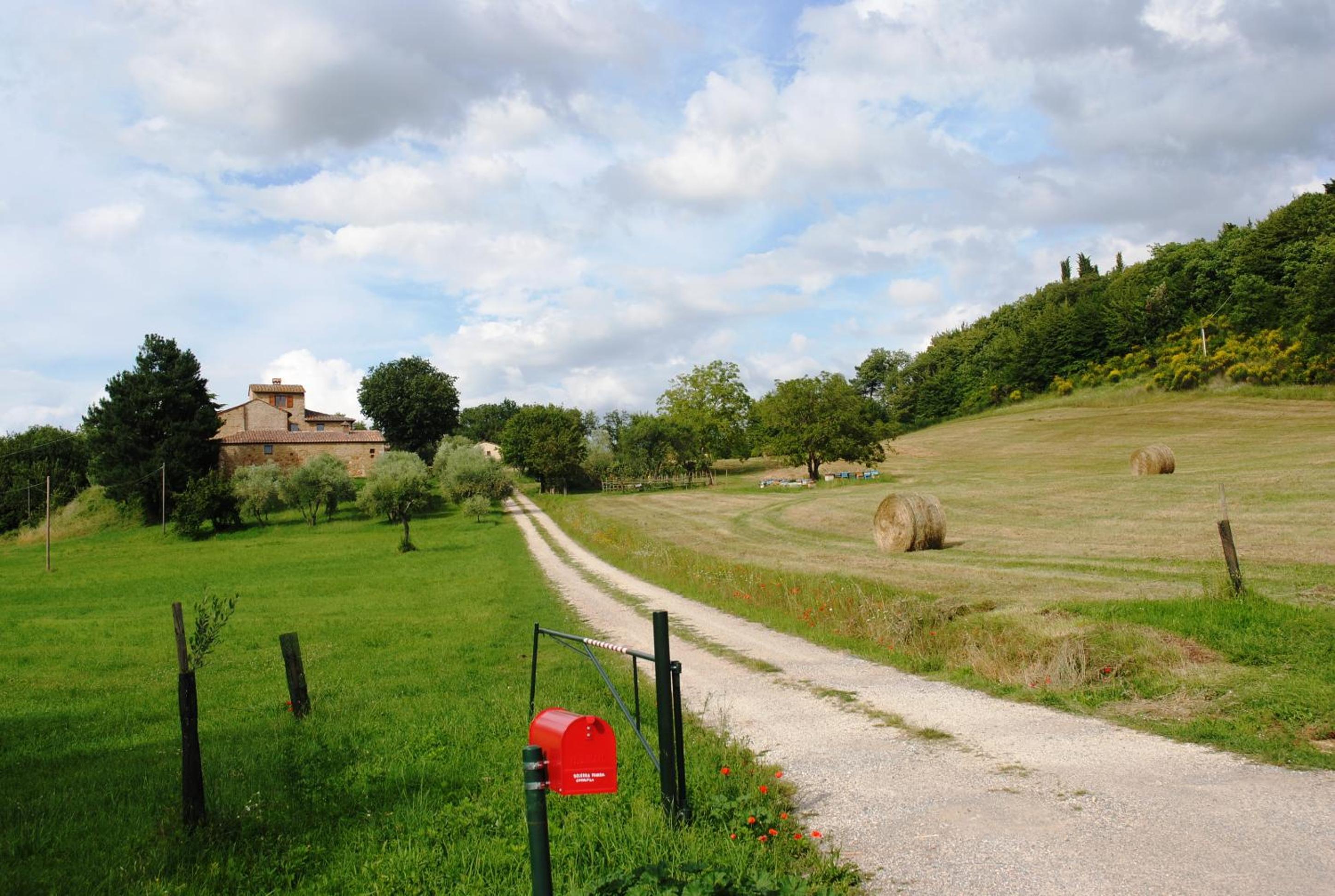 Agriturismo Podere La Paolina - Residenza di Charme