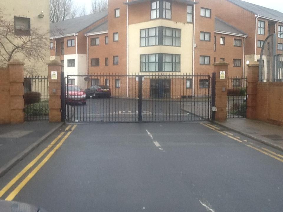 Photo 11