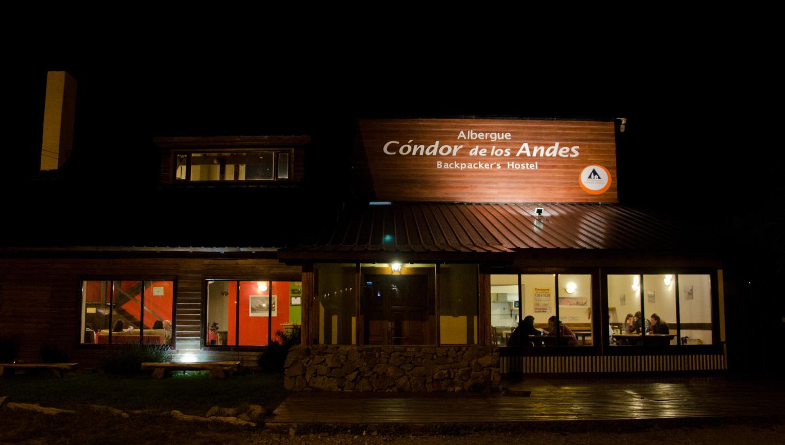Condor De Los Andes