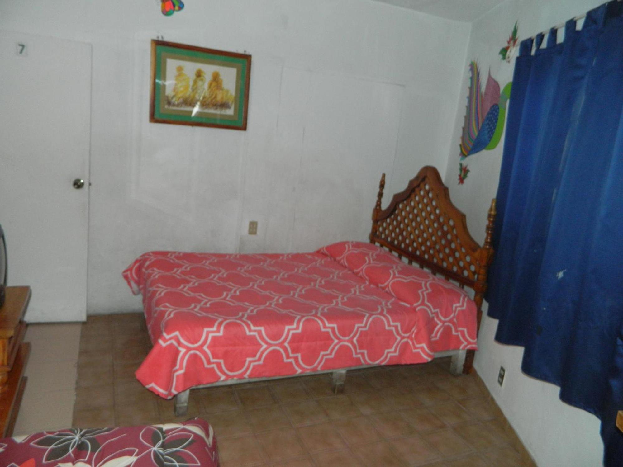 Photo 41