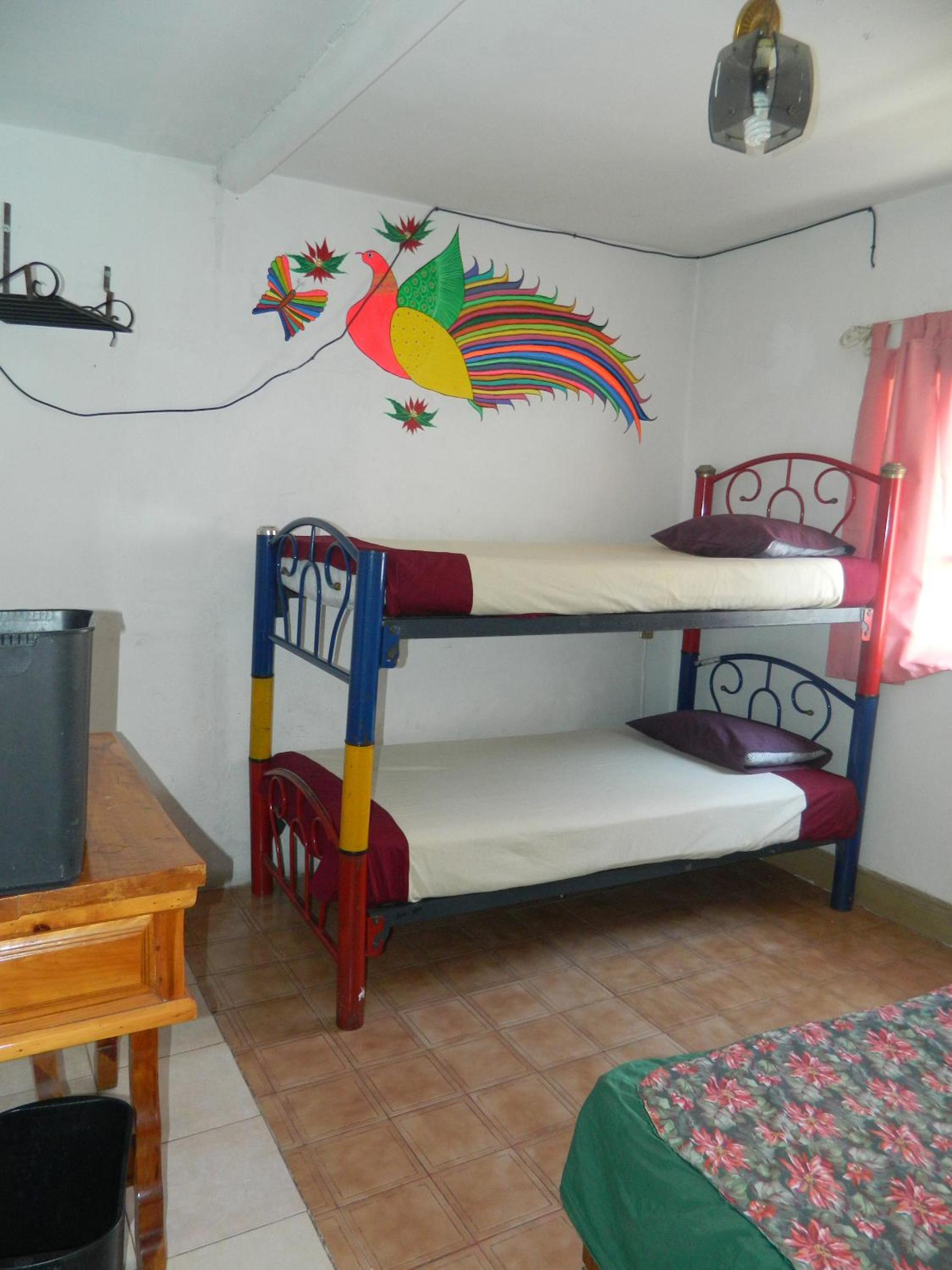 Photo 37
