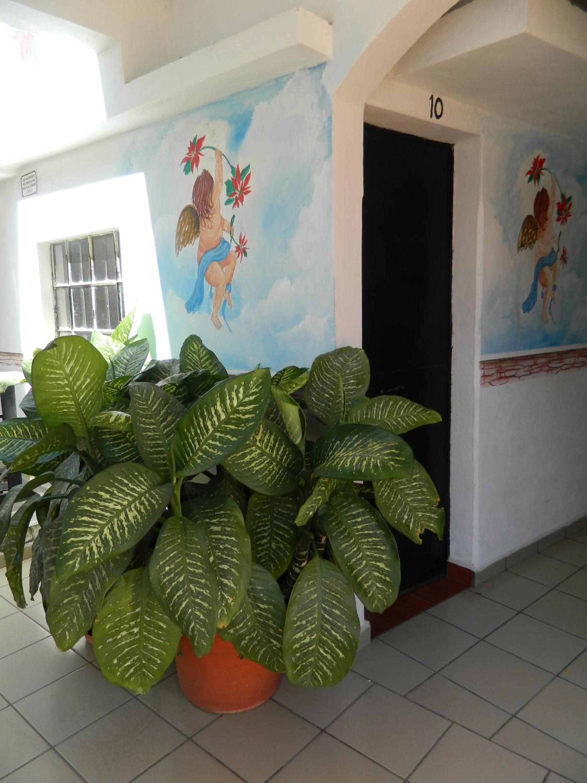 Photo 29