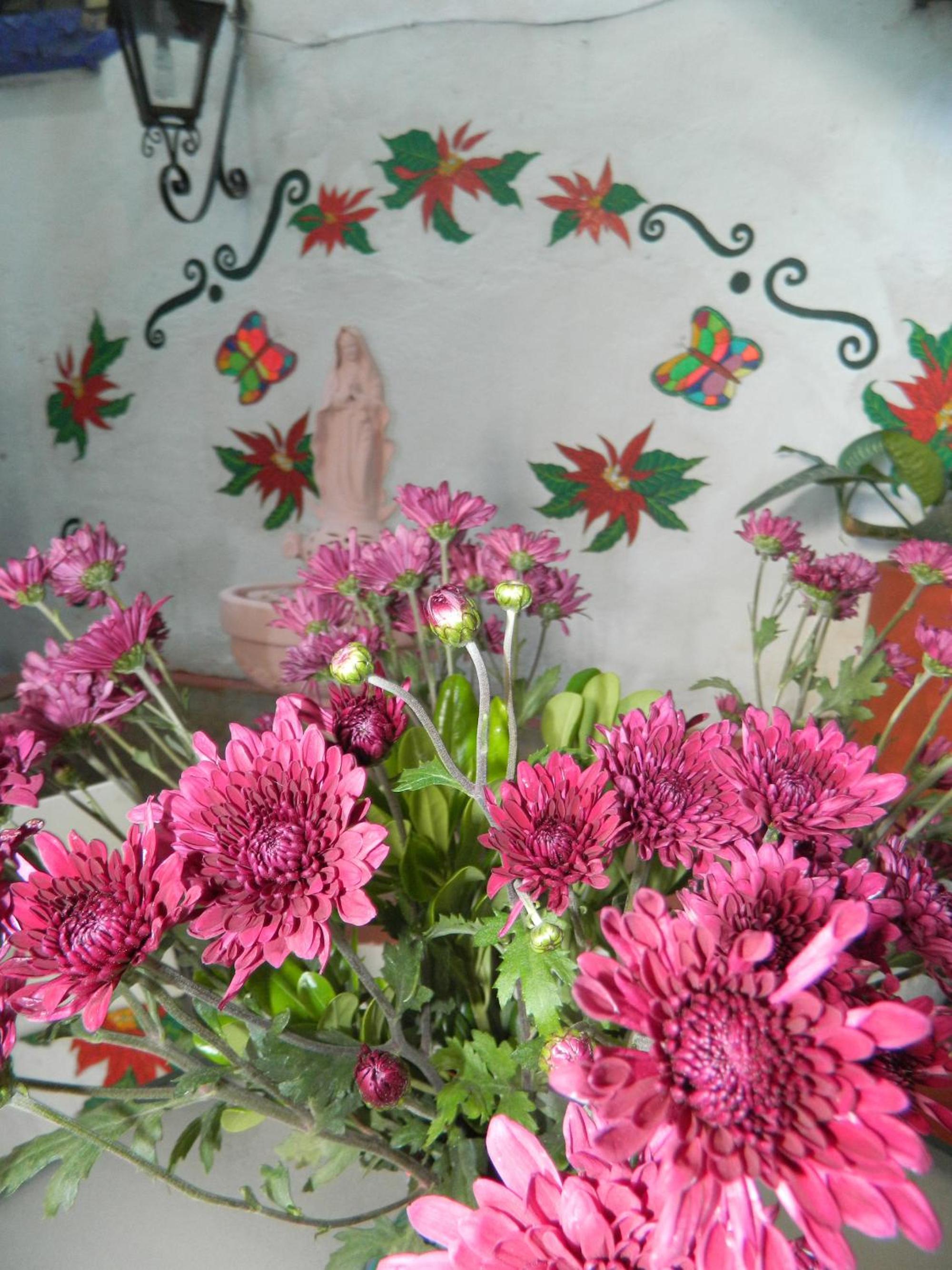 Photo 49