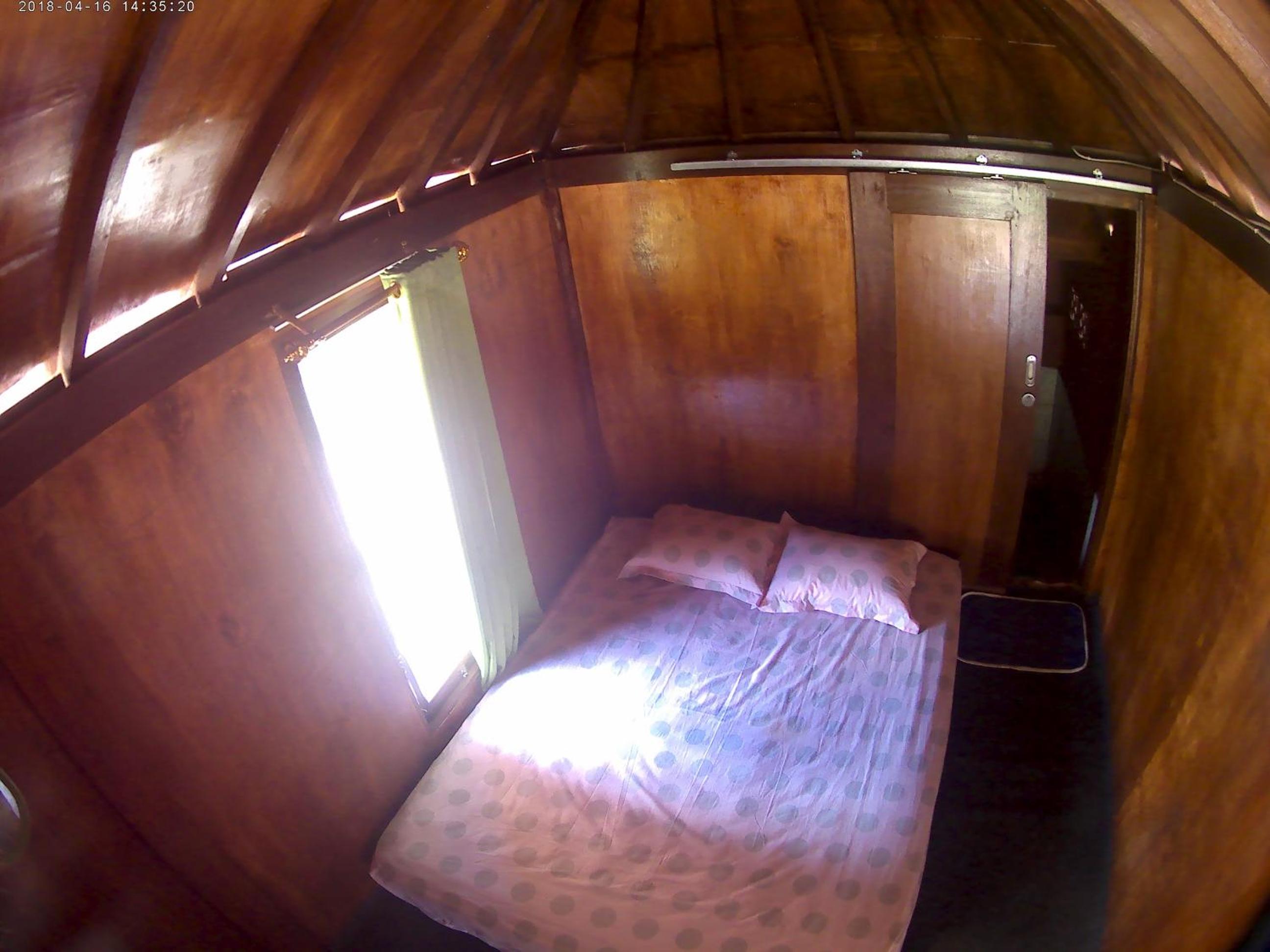 Photo 44