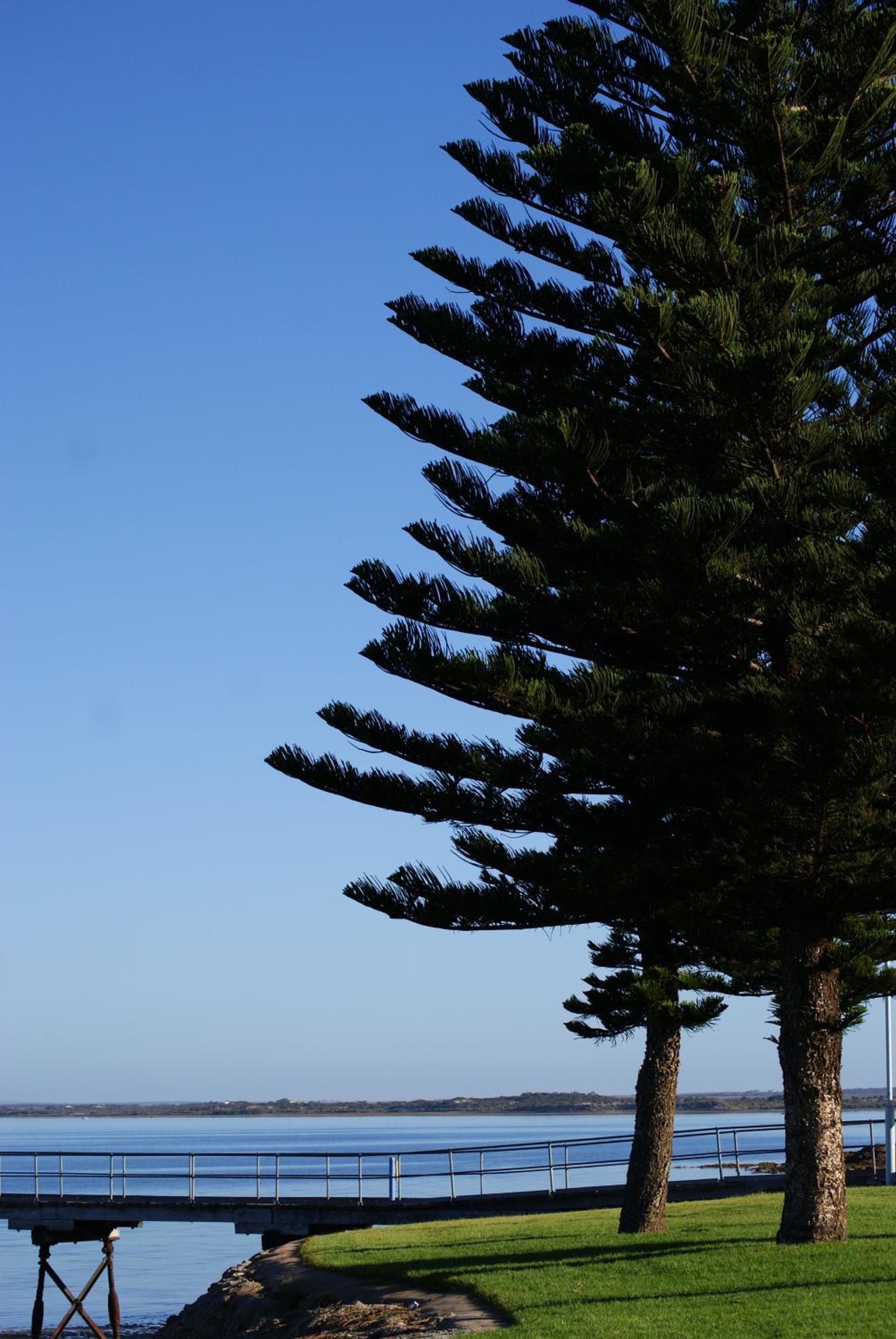 Ceduna Motor Inn