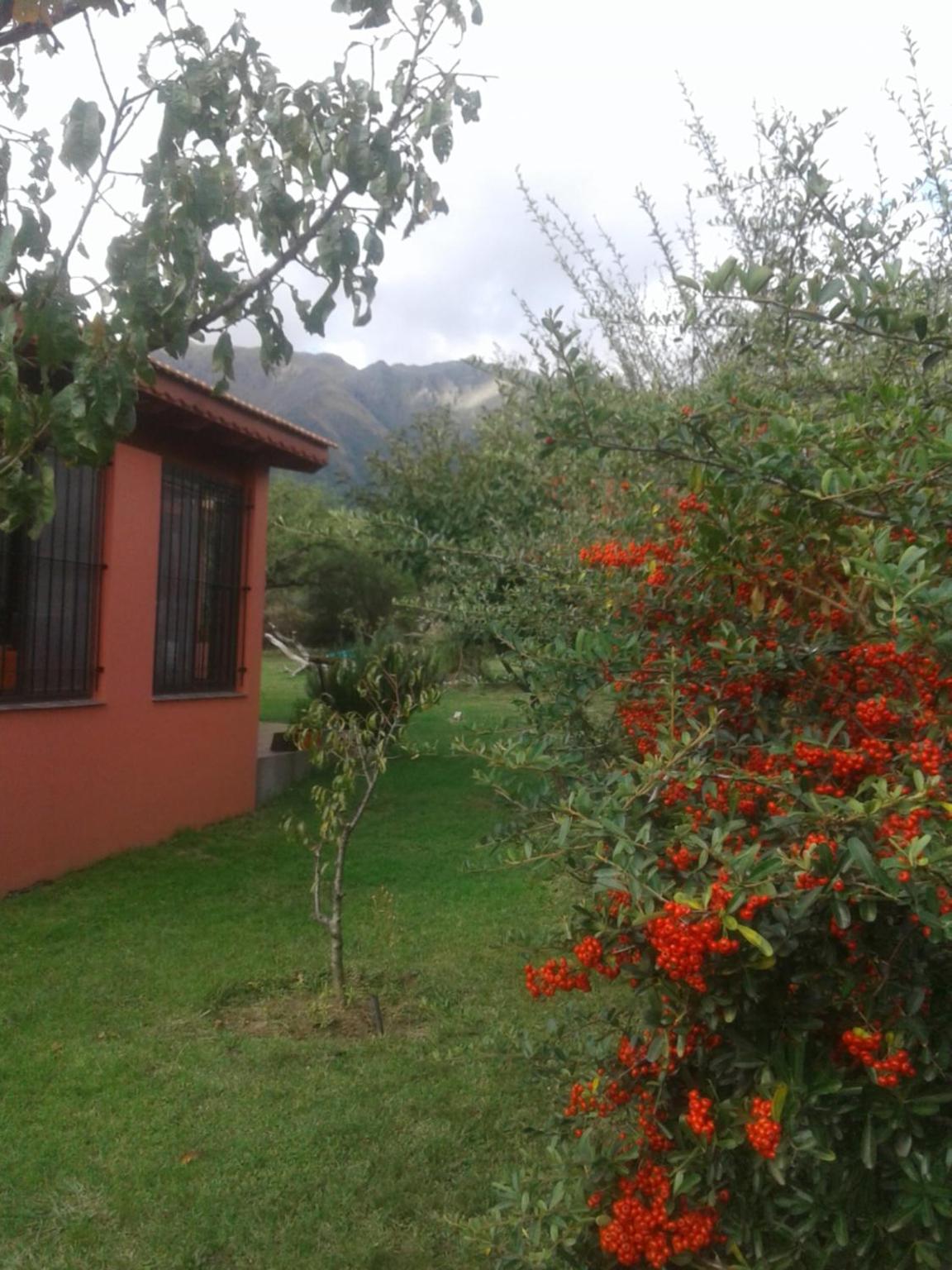 Cabañas Valentina