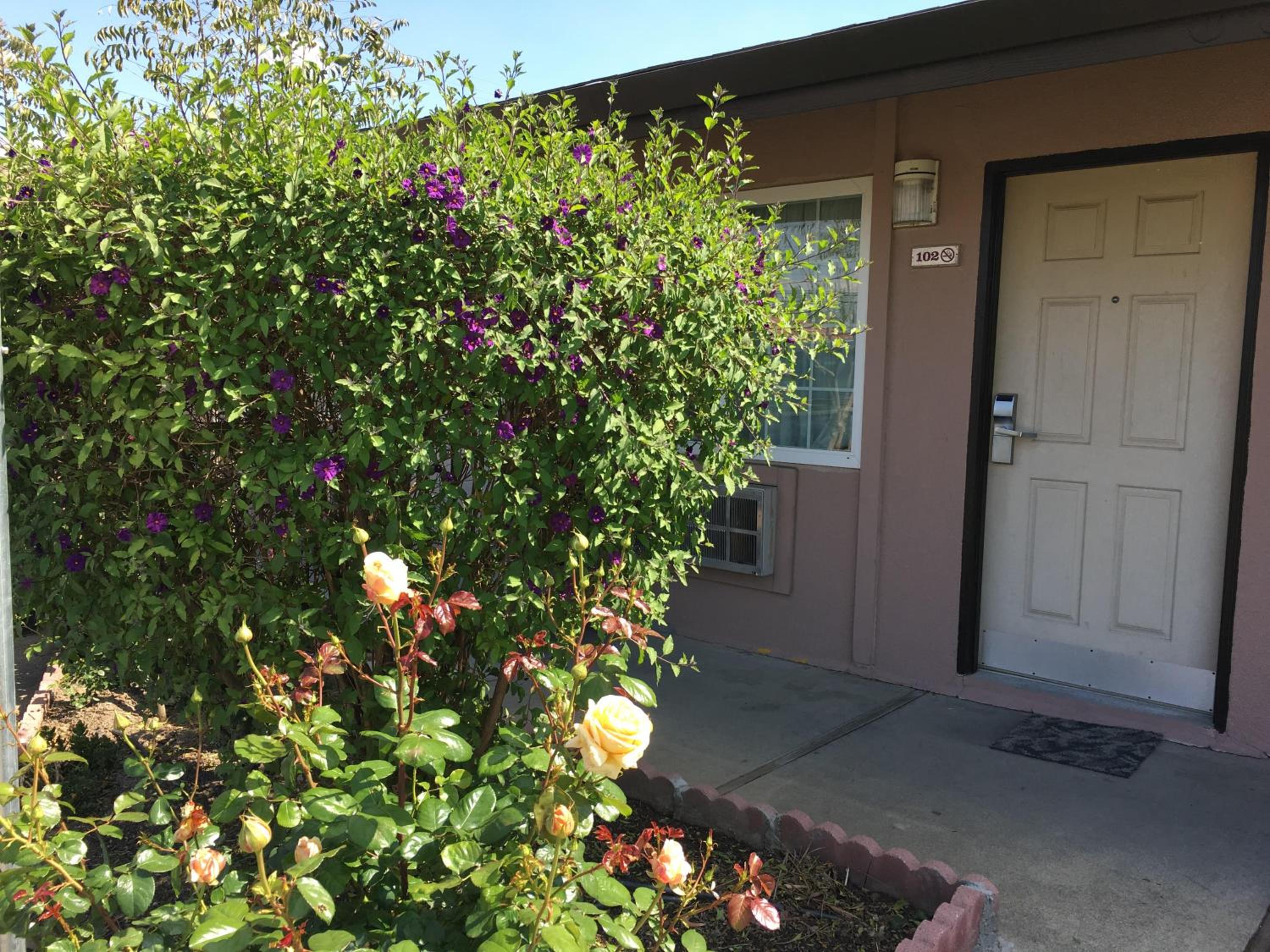 Maple Inn and Suites Los Banos view 2