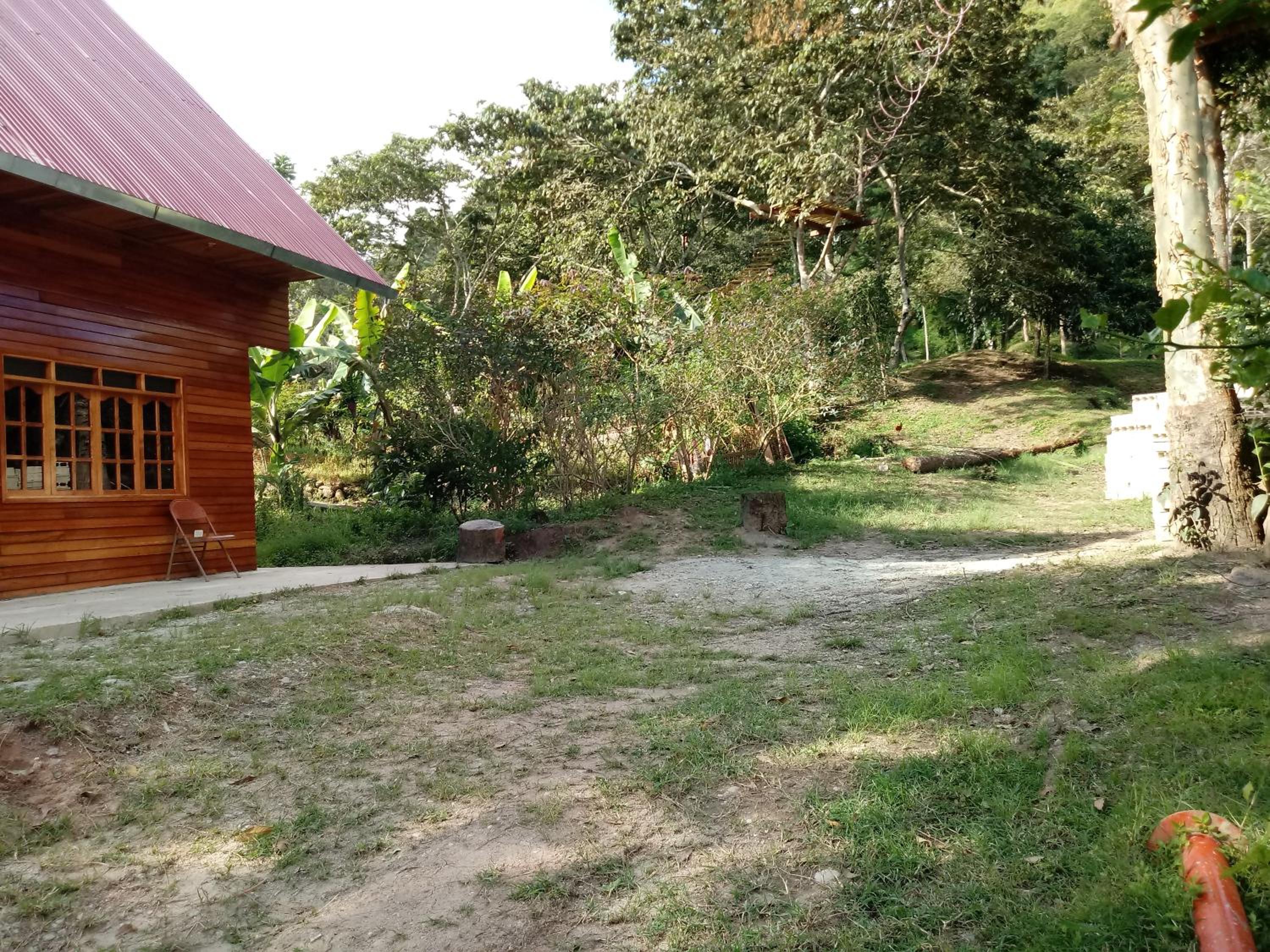 Photo 14