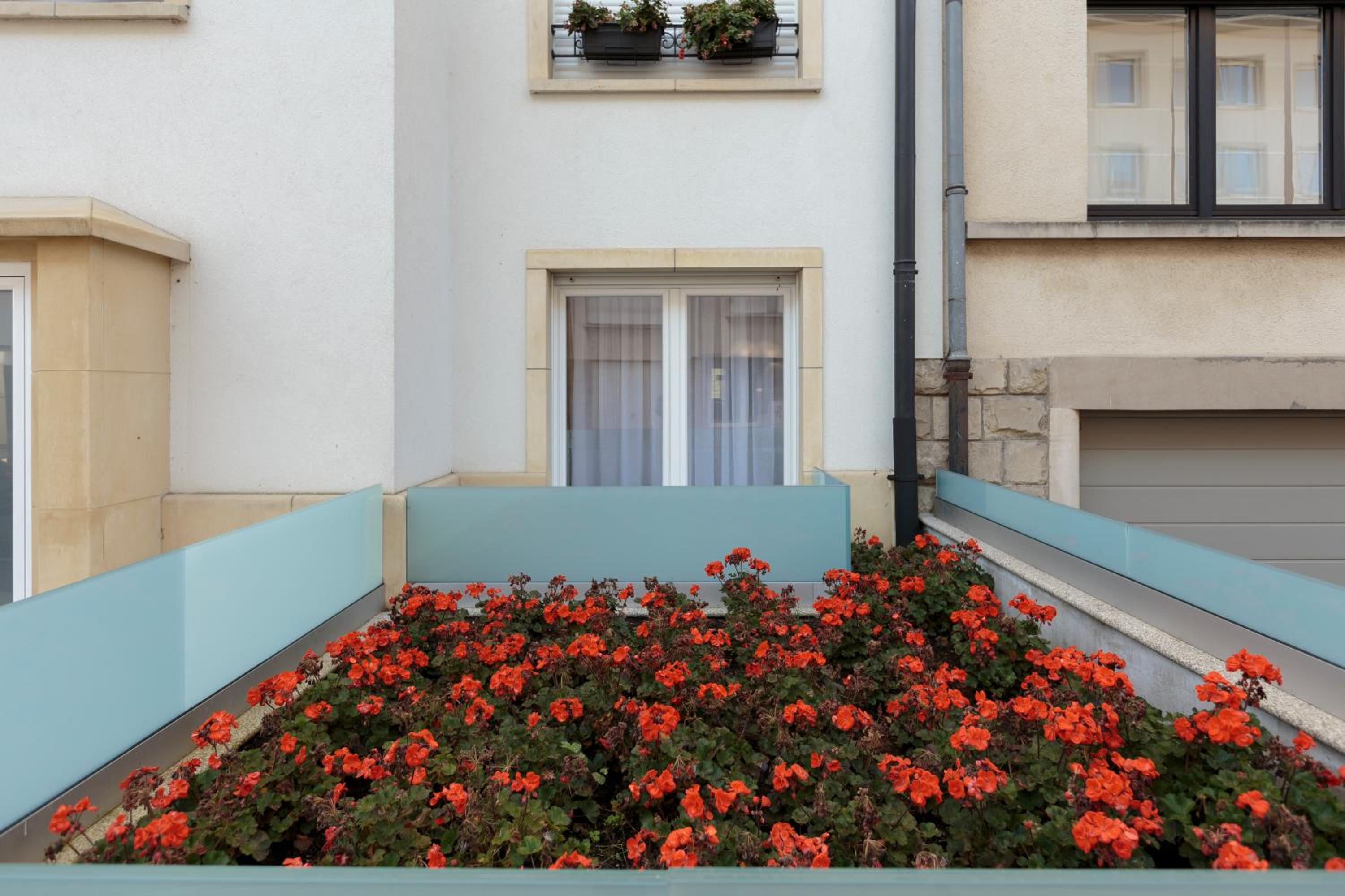 The Queen Luxury Apartments - Villa Vinicia