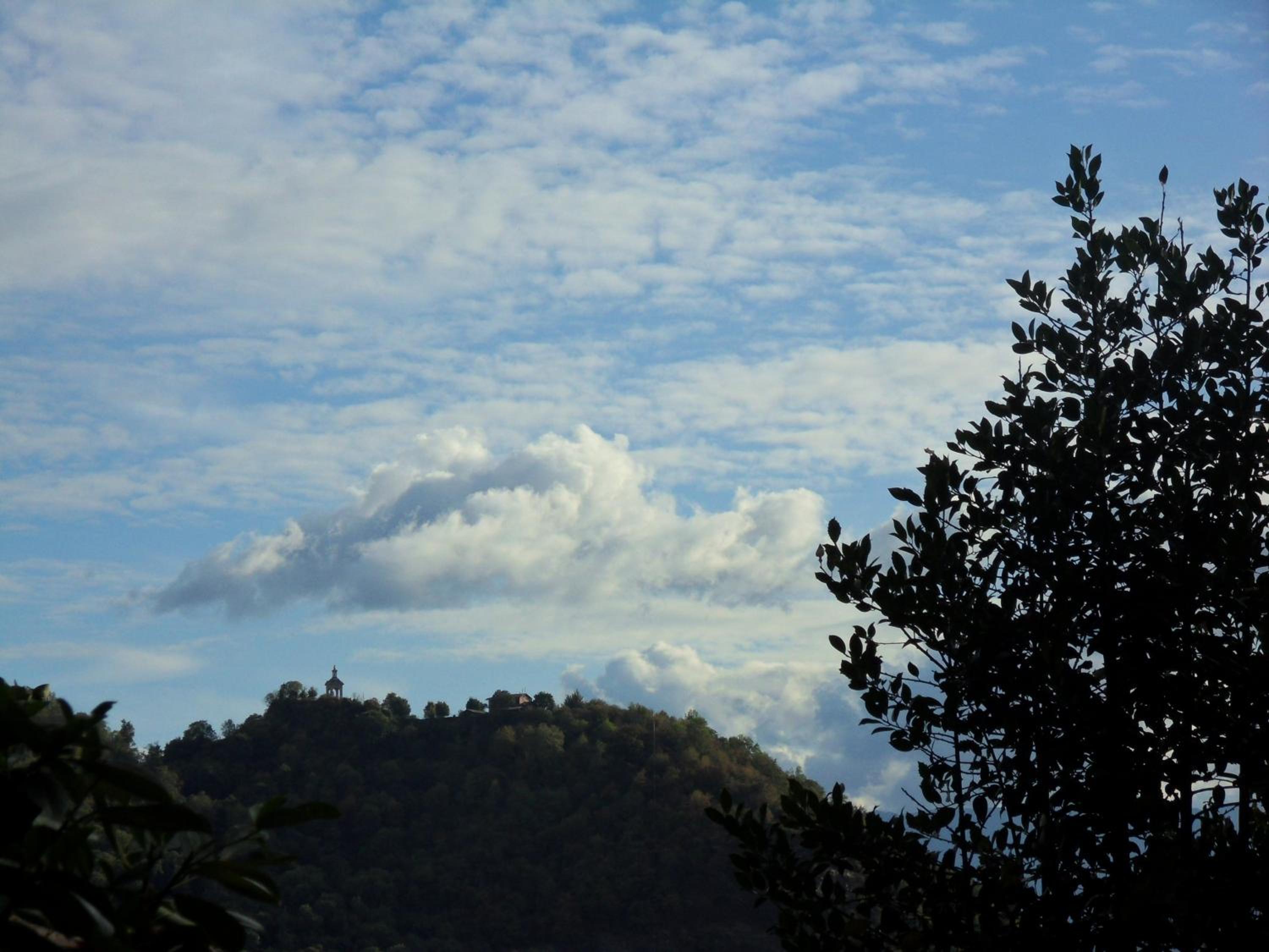 Photo 44