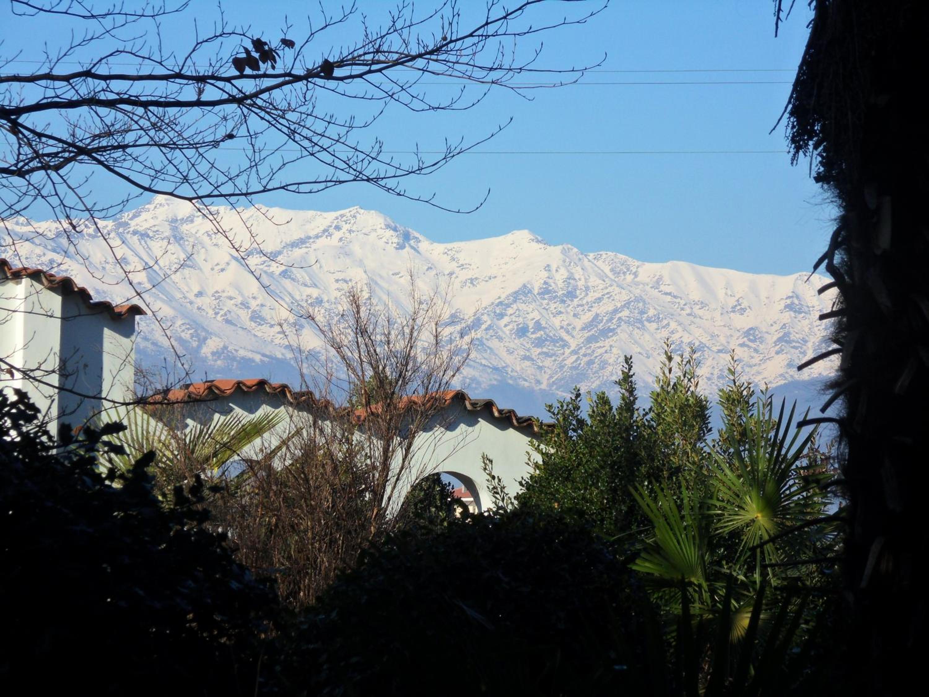 Photo 43