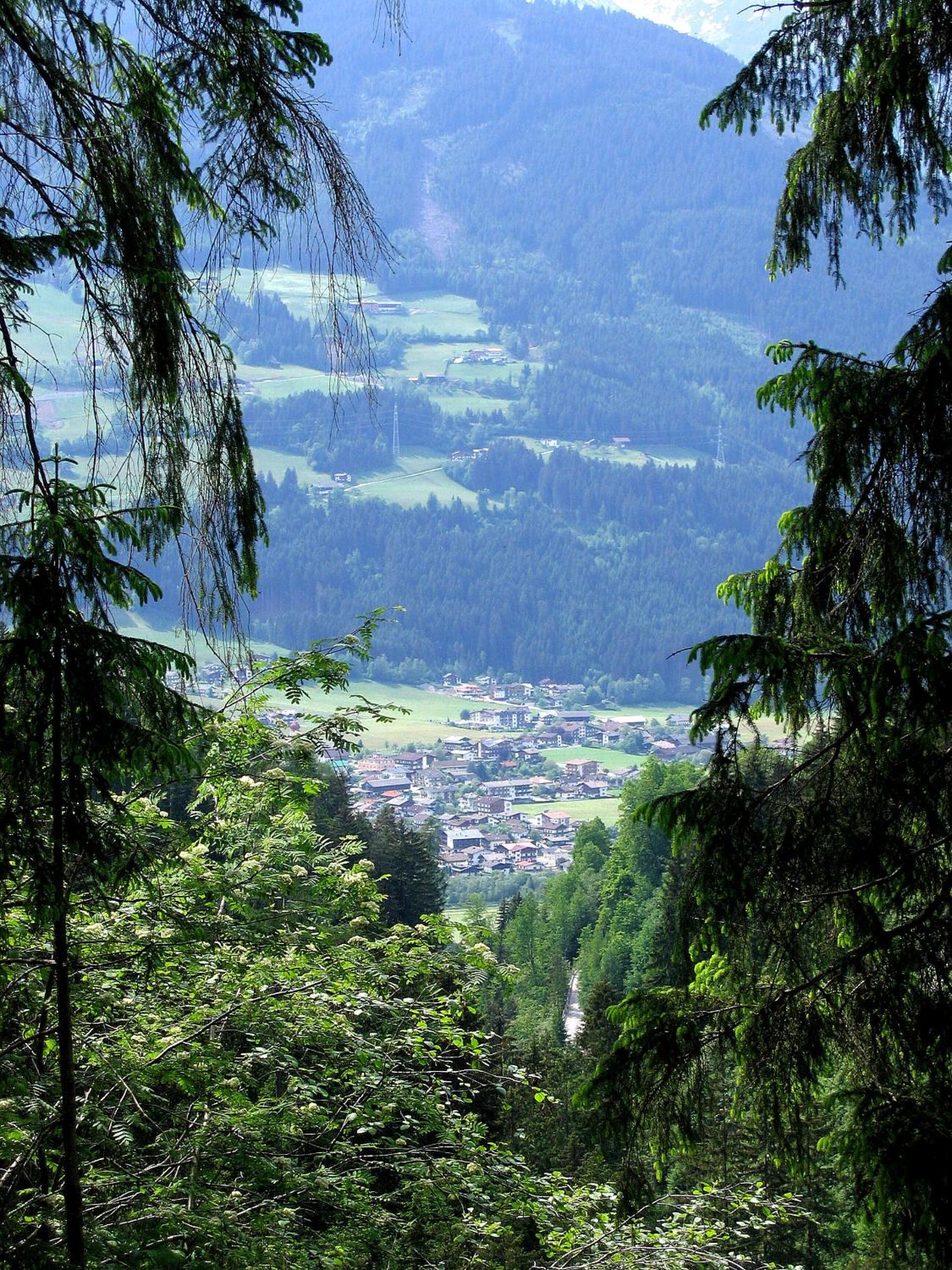 Photo 40