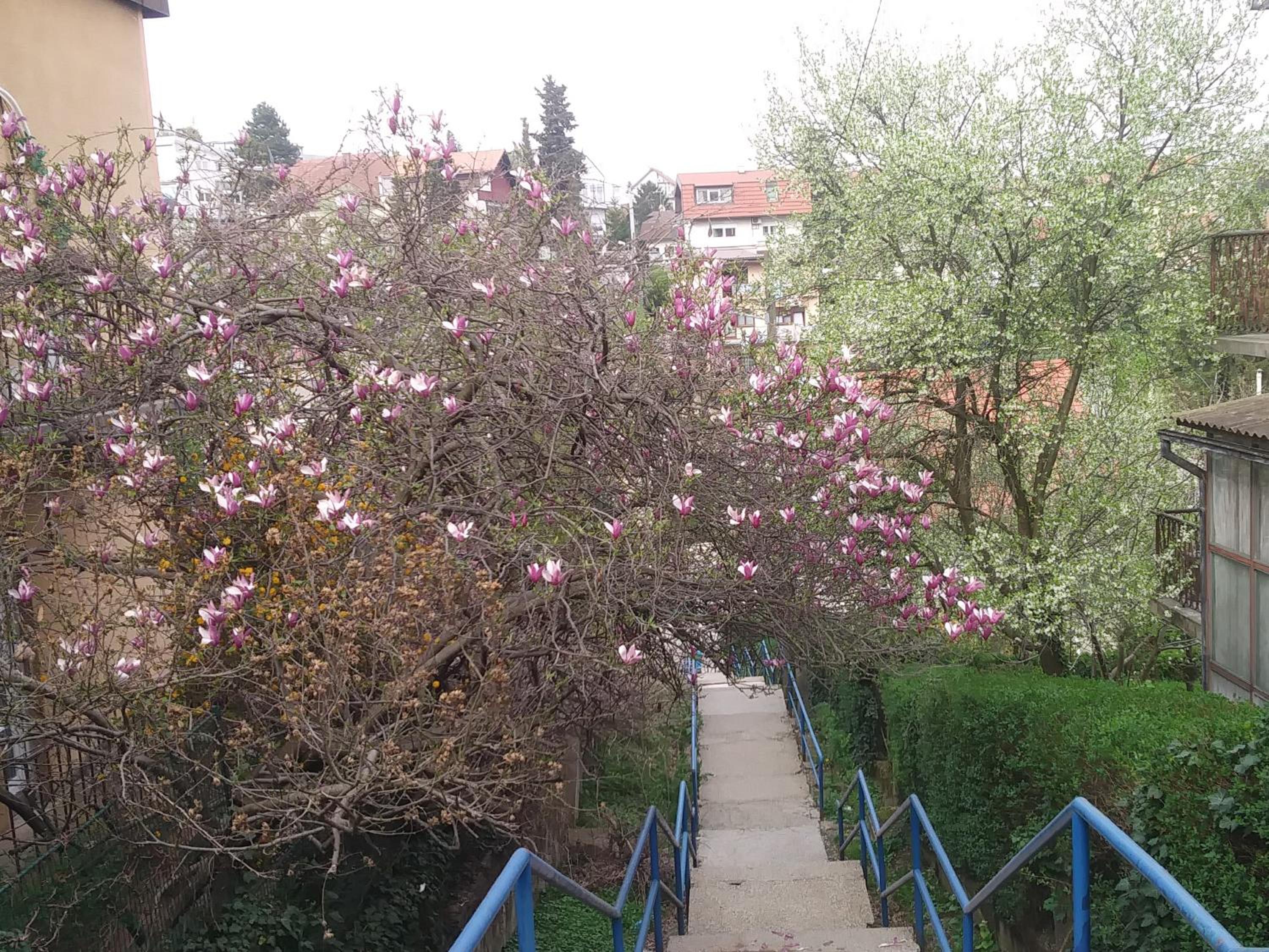 Photo 29