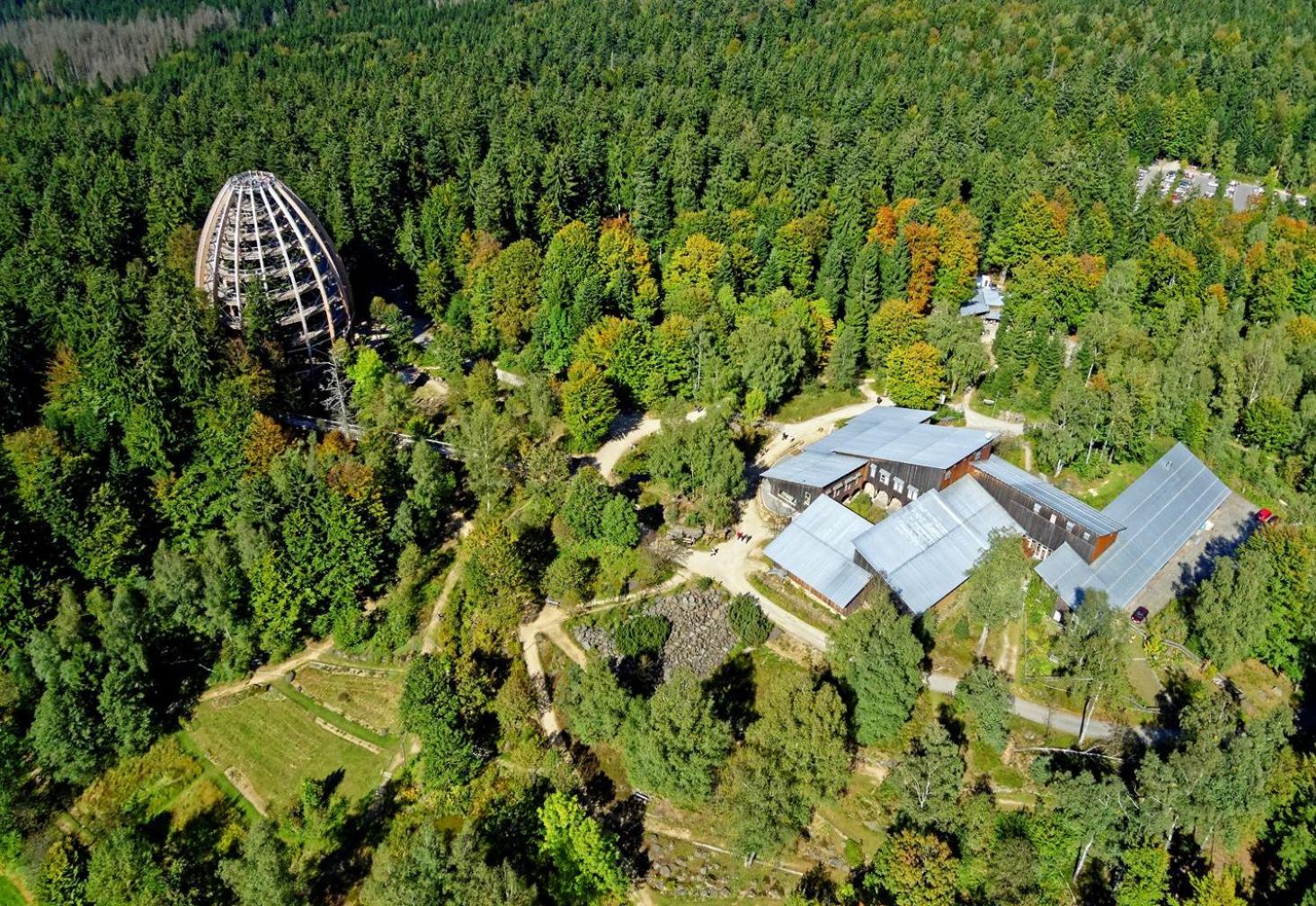 Pension Salzsäumer - Adults Only