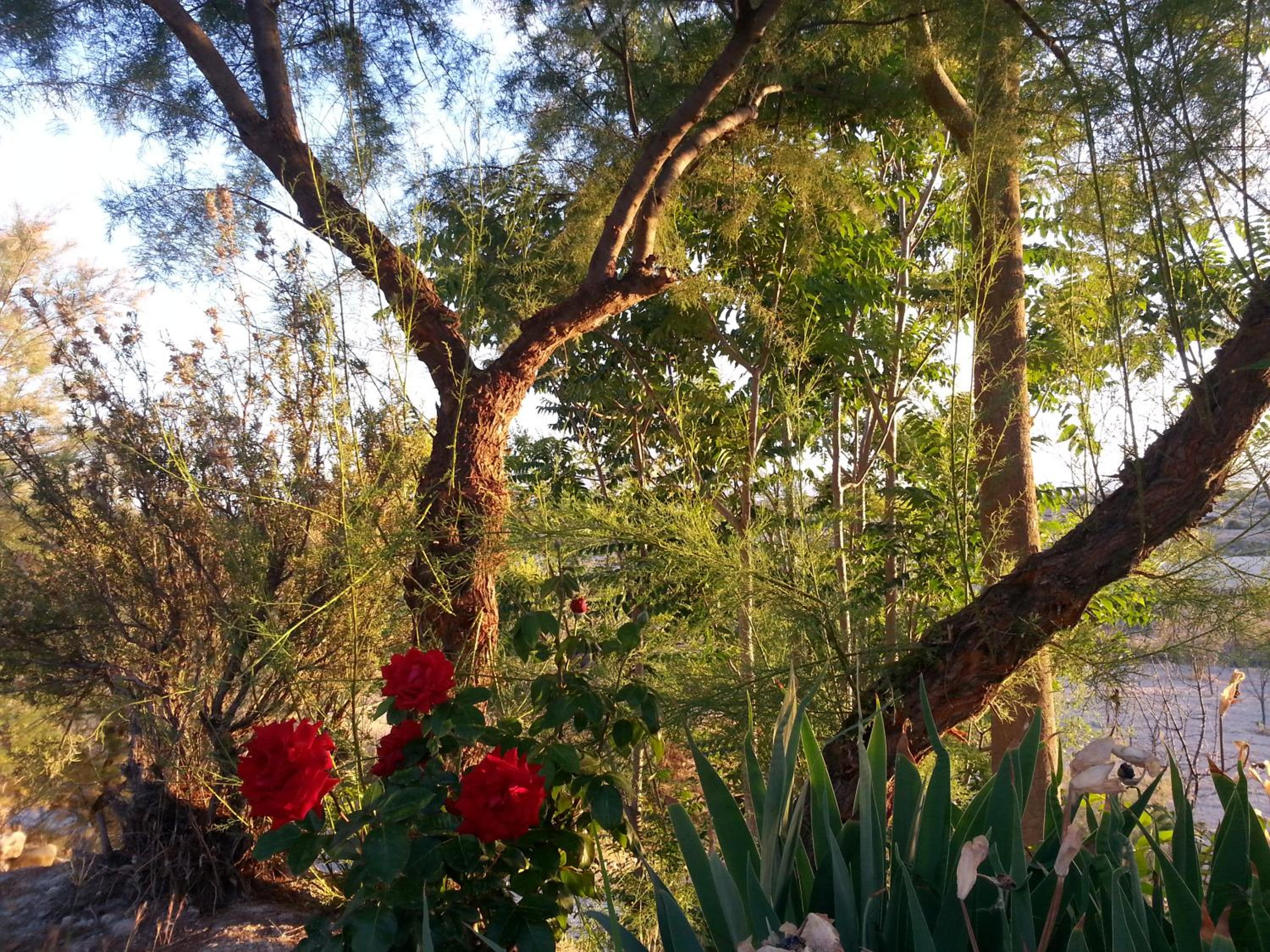 Photo 14