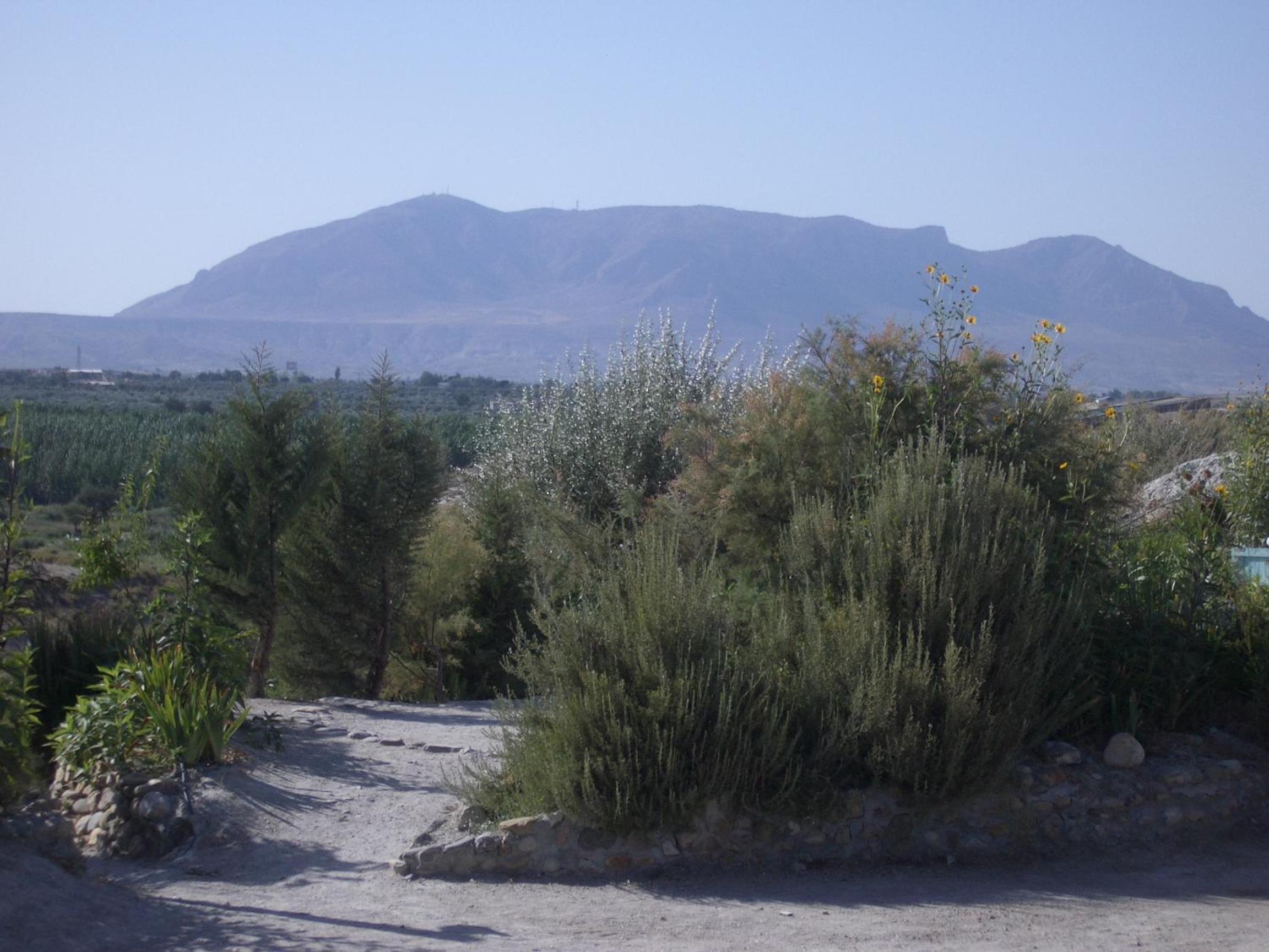 Photo 13