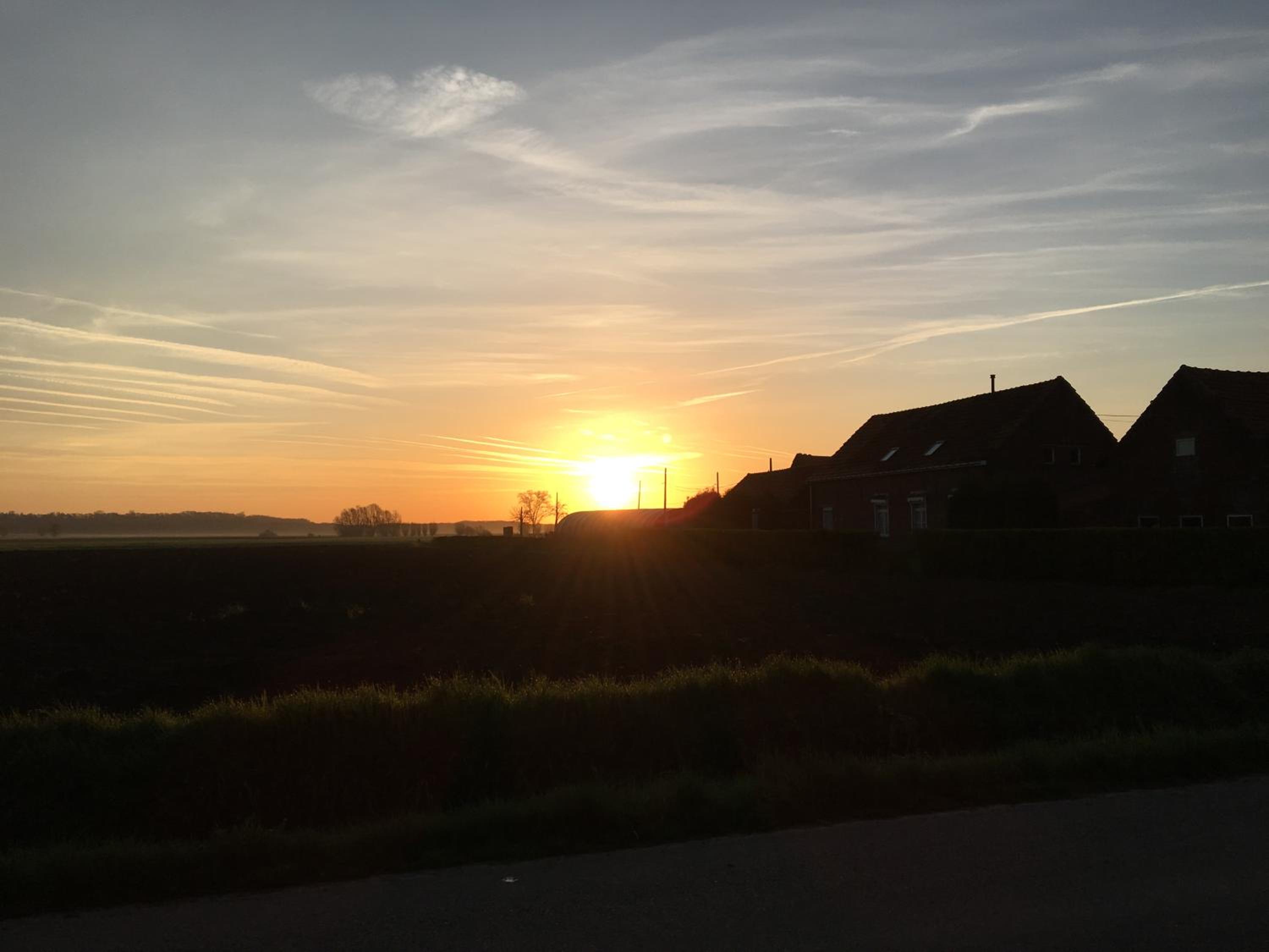 'T Wolvennest