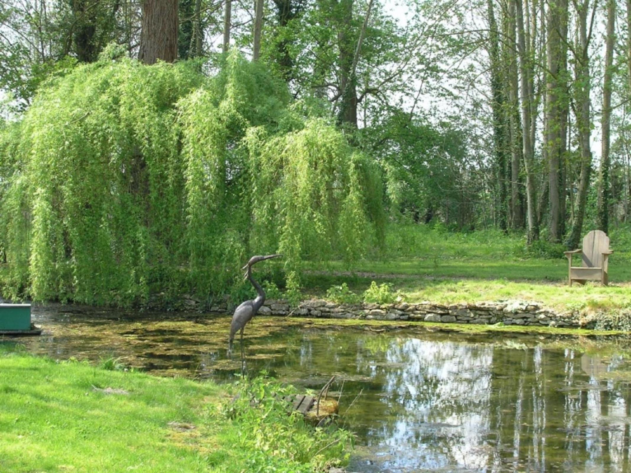 Photo 26