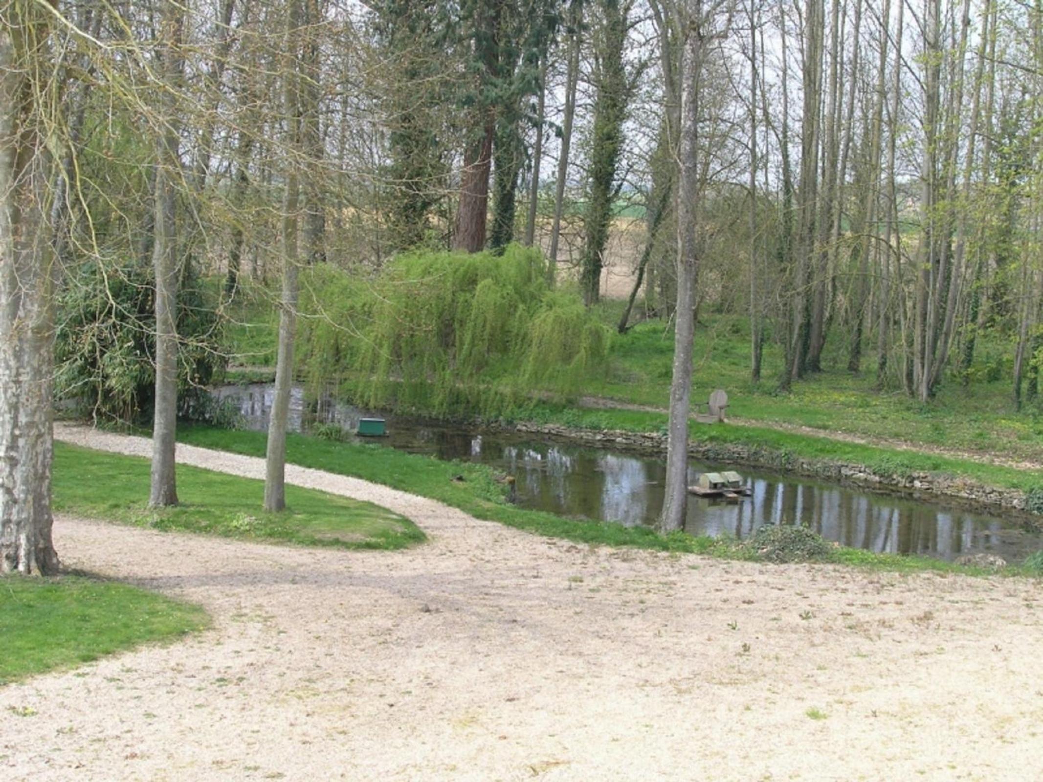 Photo 29