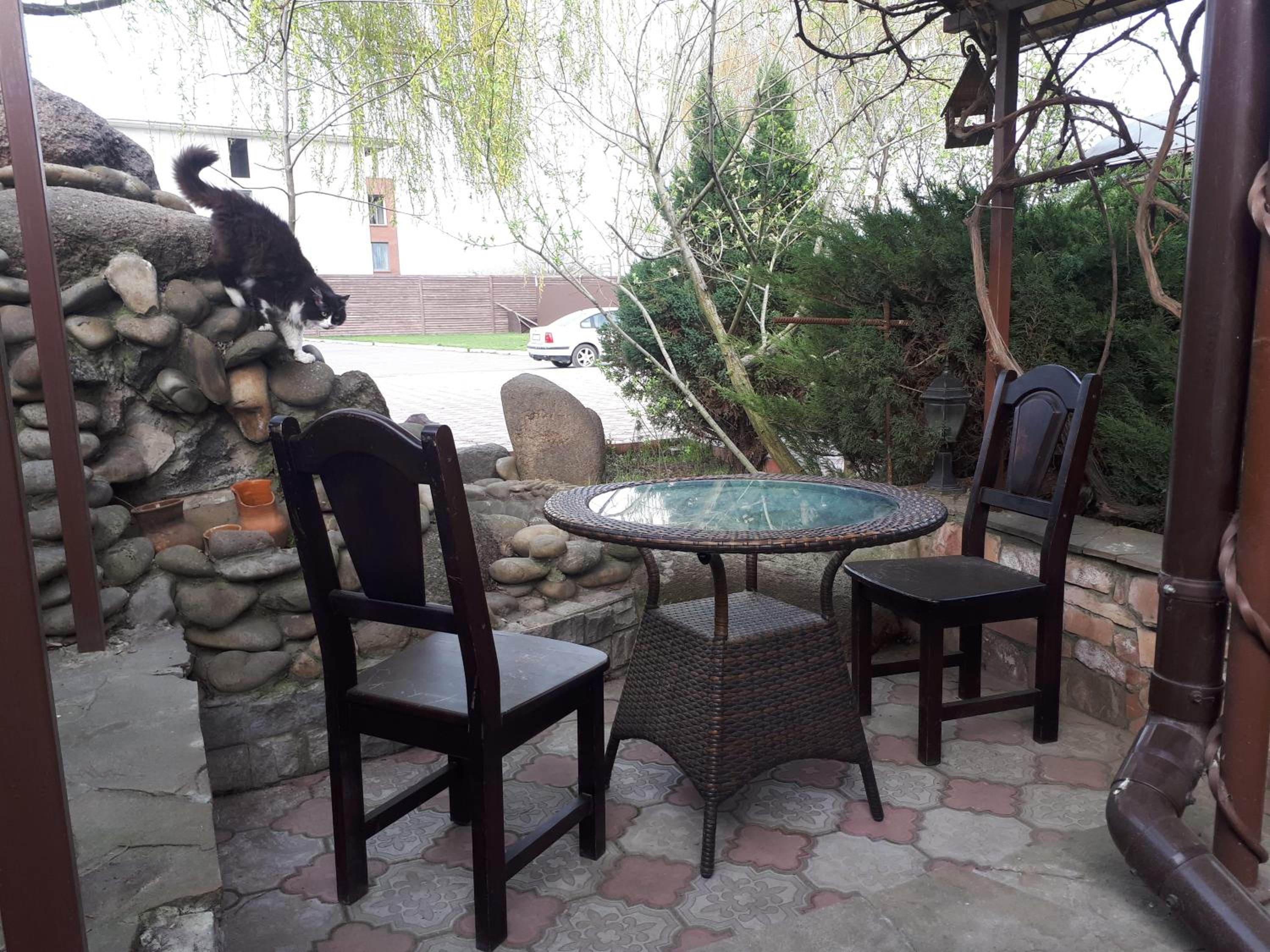 Photo 6