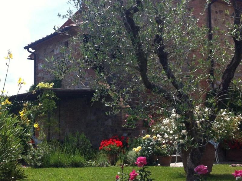 Photo 27