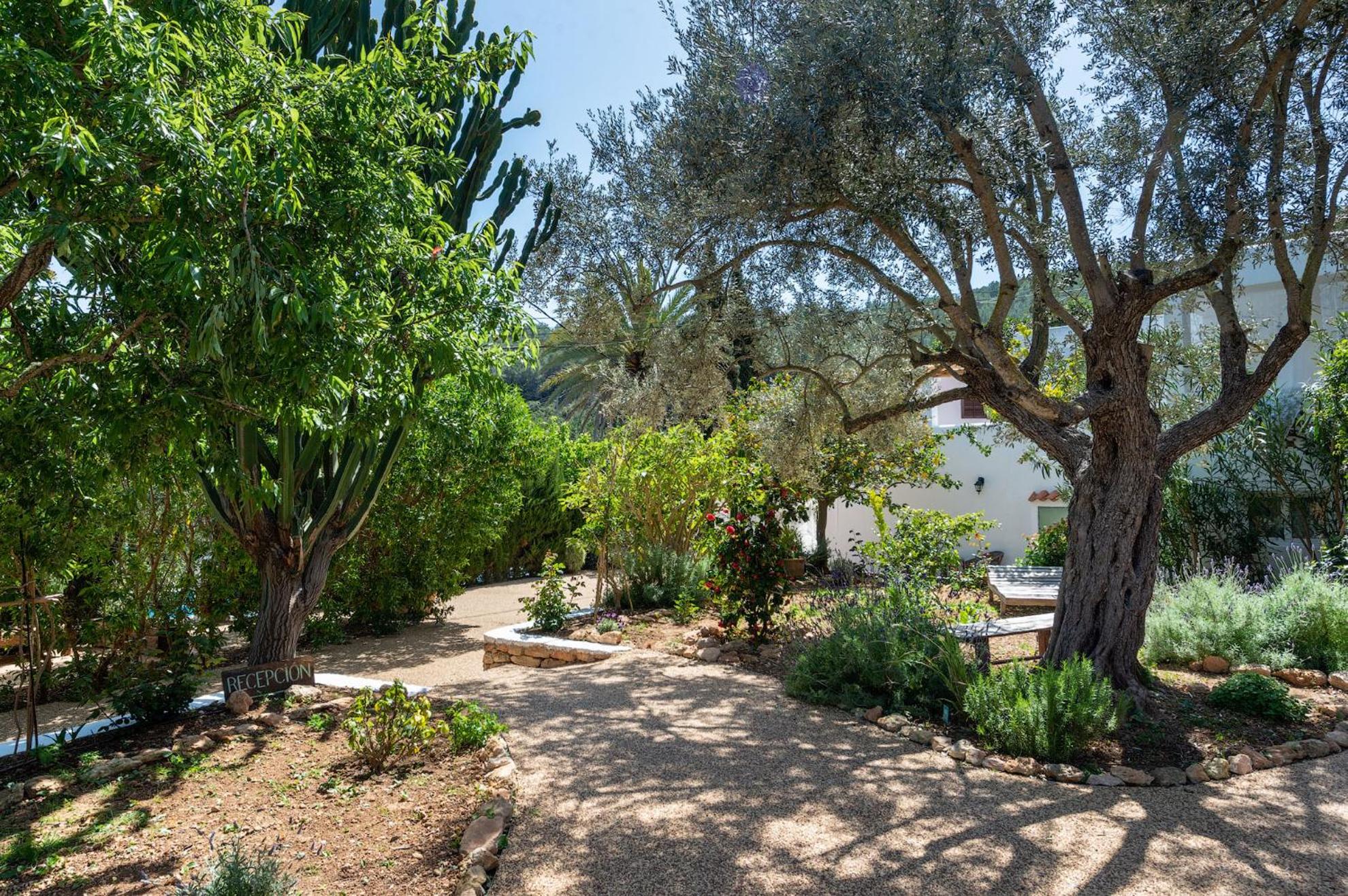 Valley Club Ibiza - Boutique Agroturismo