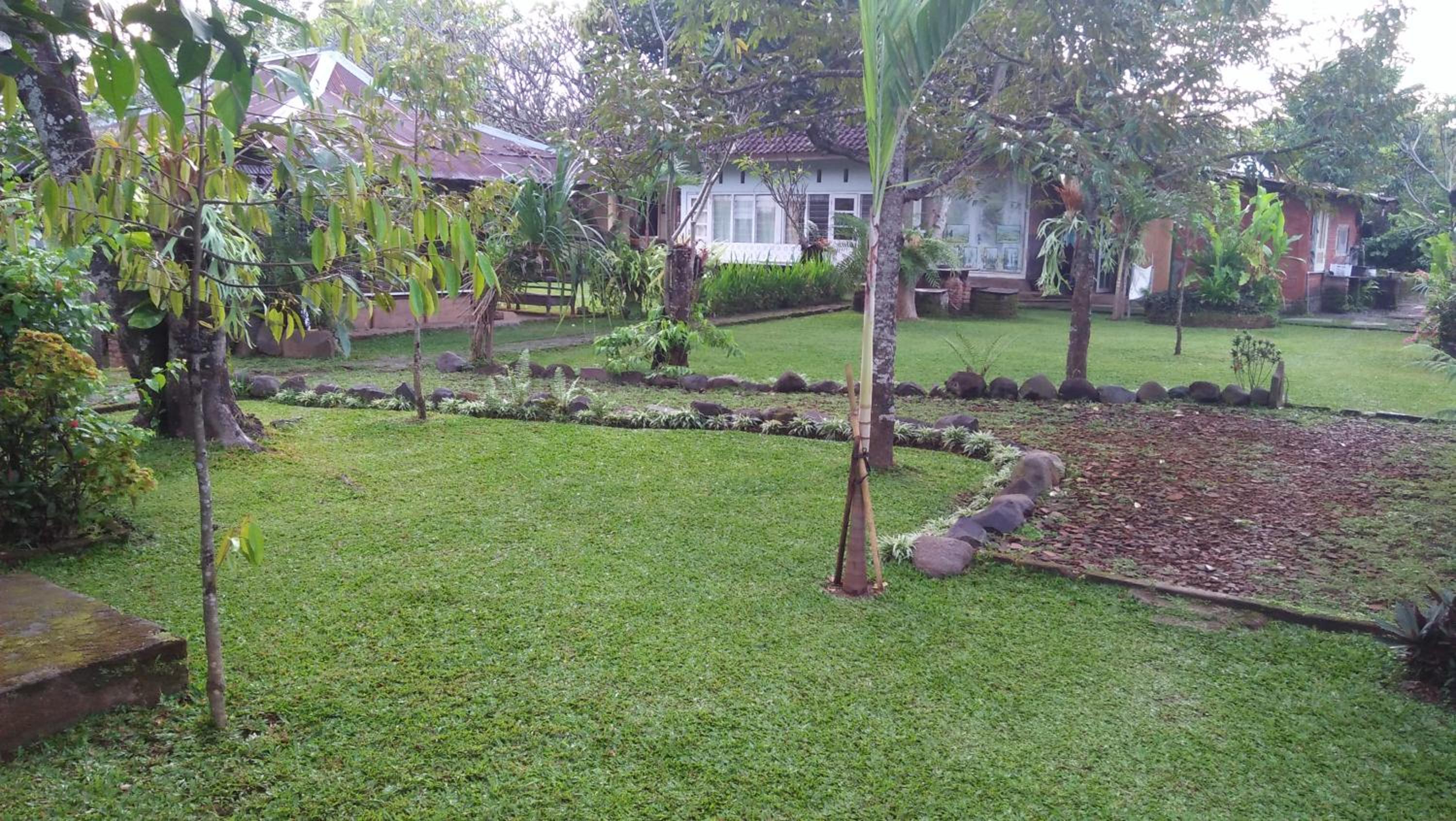 DWM ESA di Kubu Homestay By Reccoma
