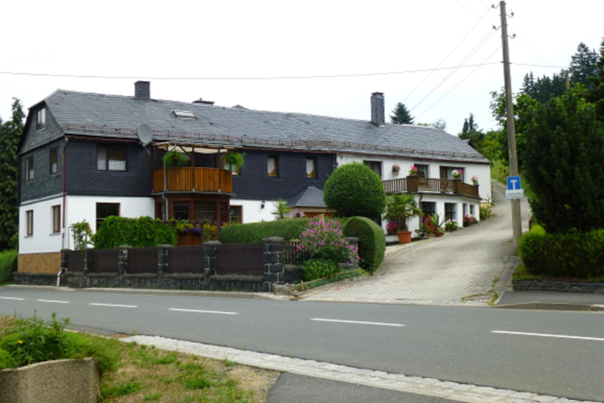 Hammerfinken-Nest view 3