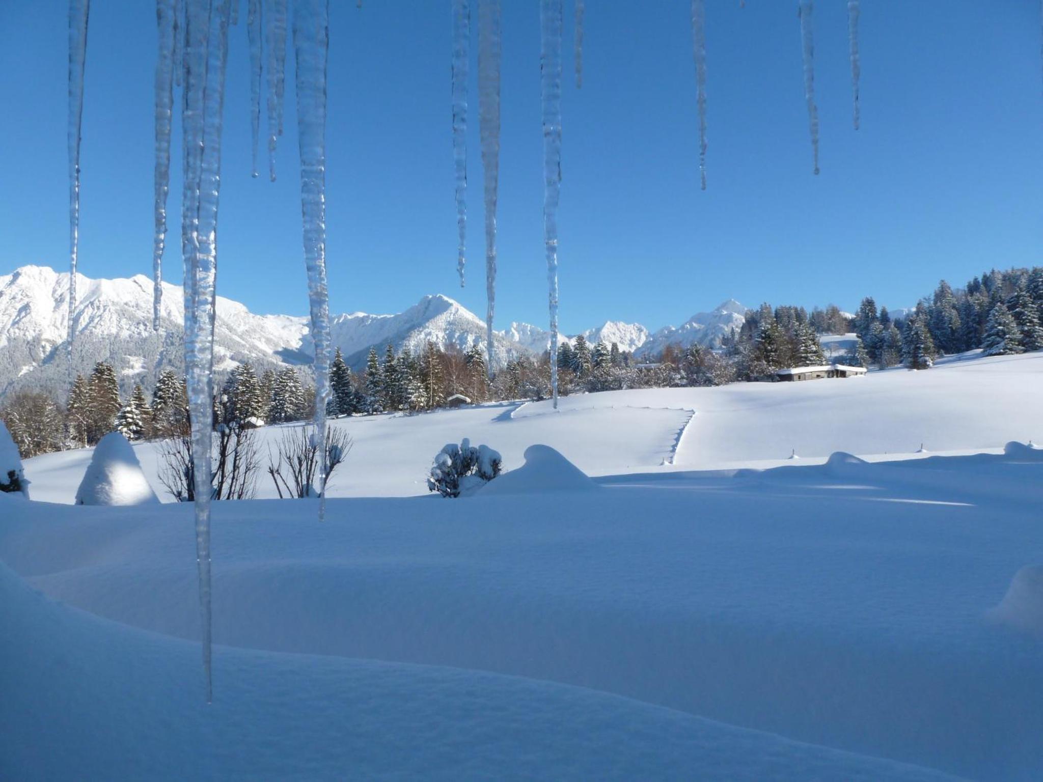 Baldauf's Alpchalet
