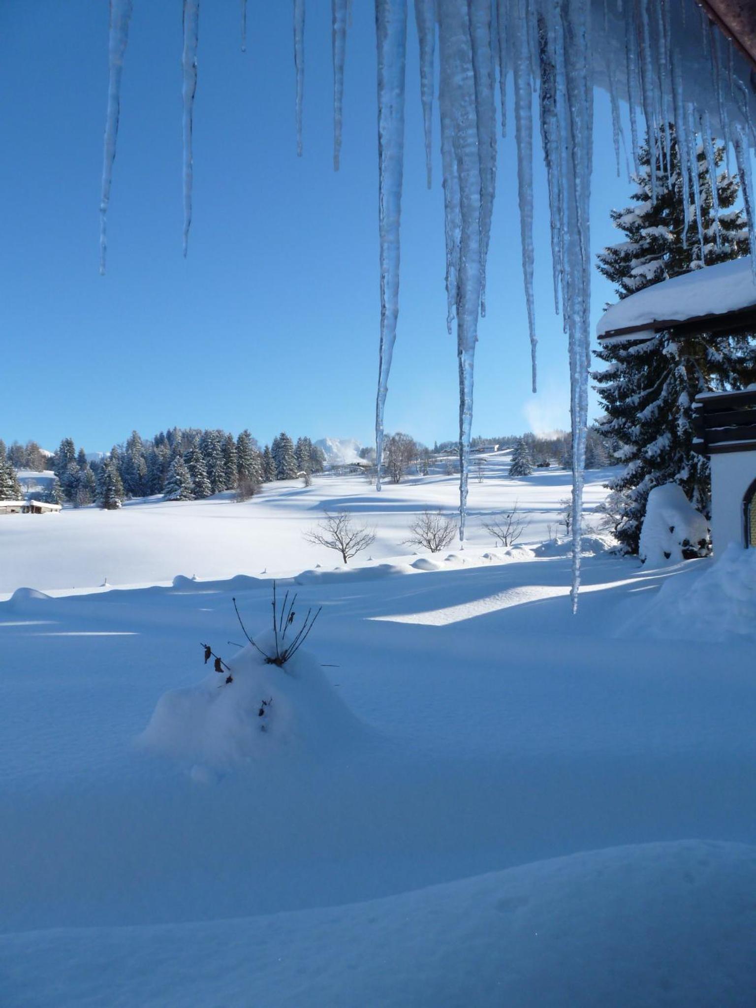 Baldauf's Alpchalet