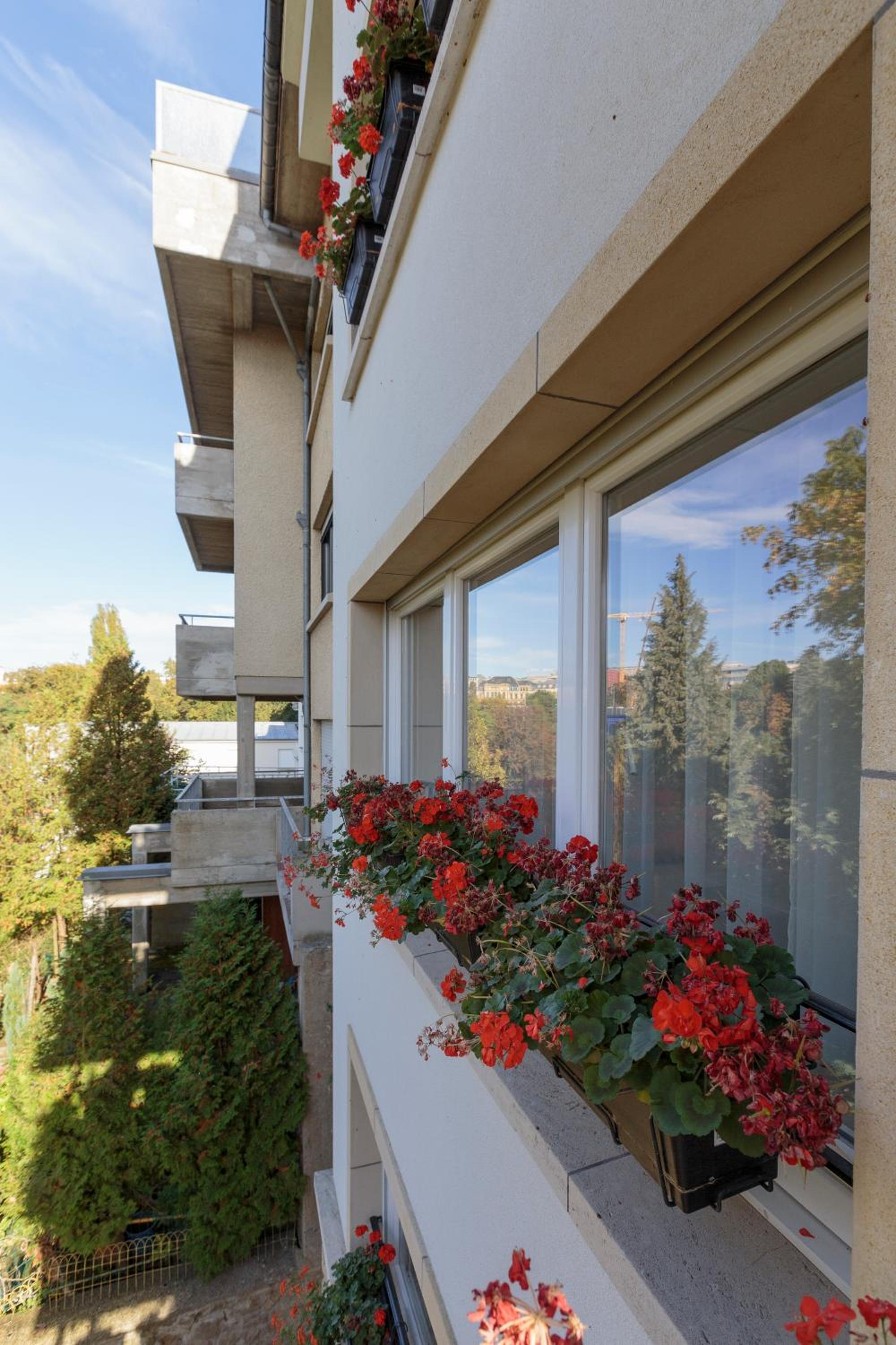 The Queen Luxury Apartments - Villa Vinicia