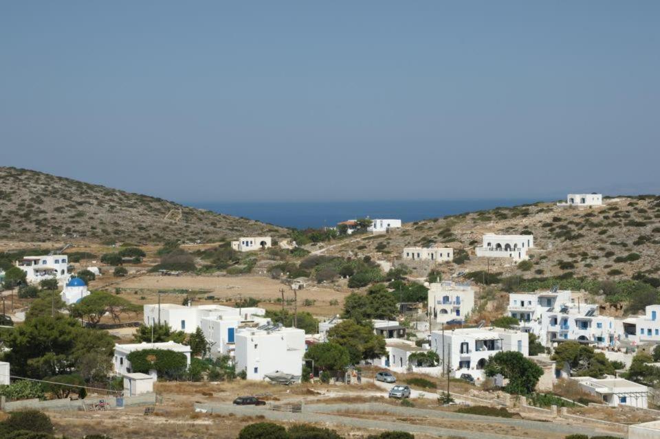 Agnantema
