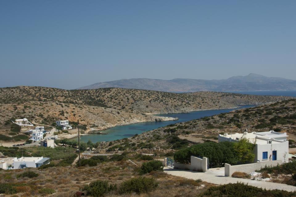 Agnantema