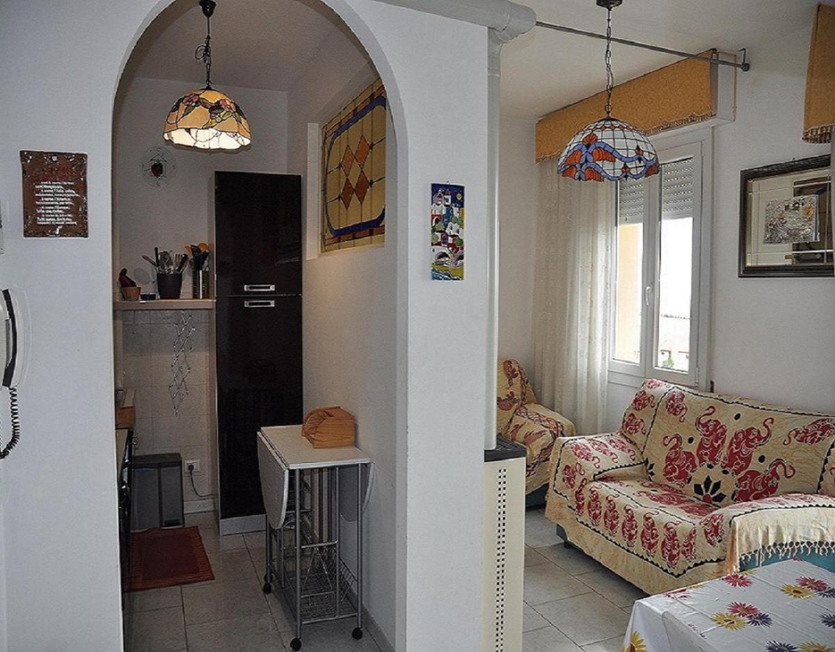 Cedri B view 3