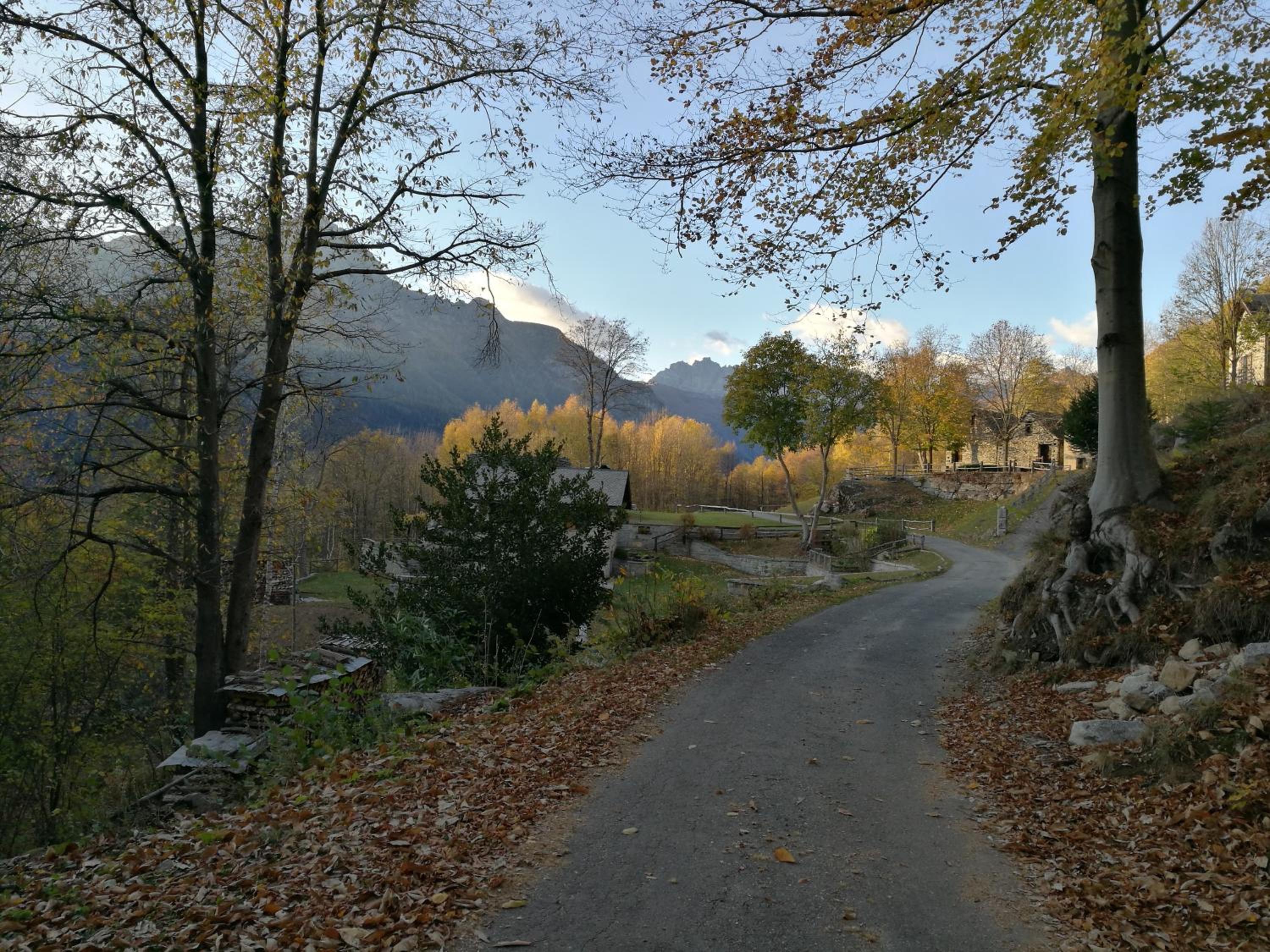 Photo 26