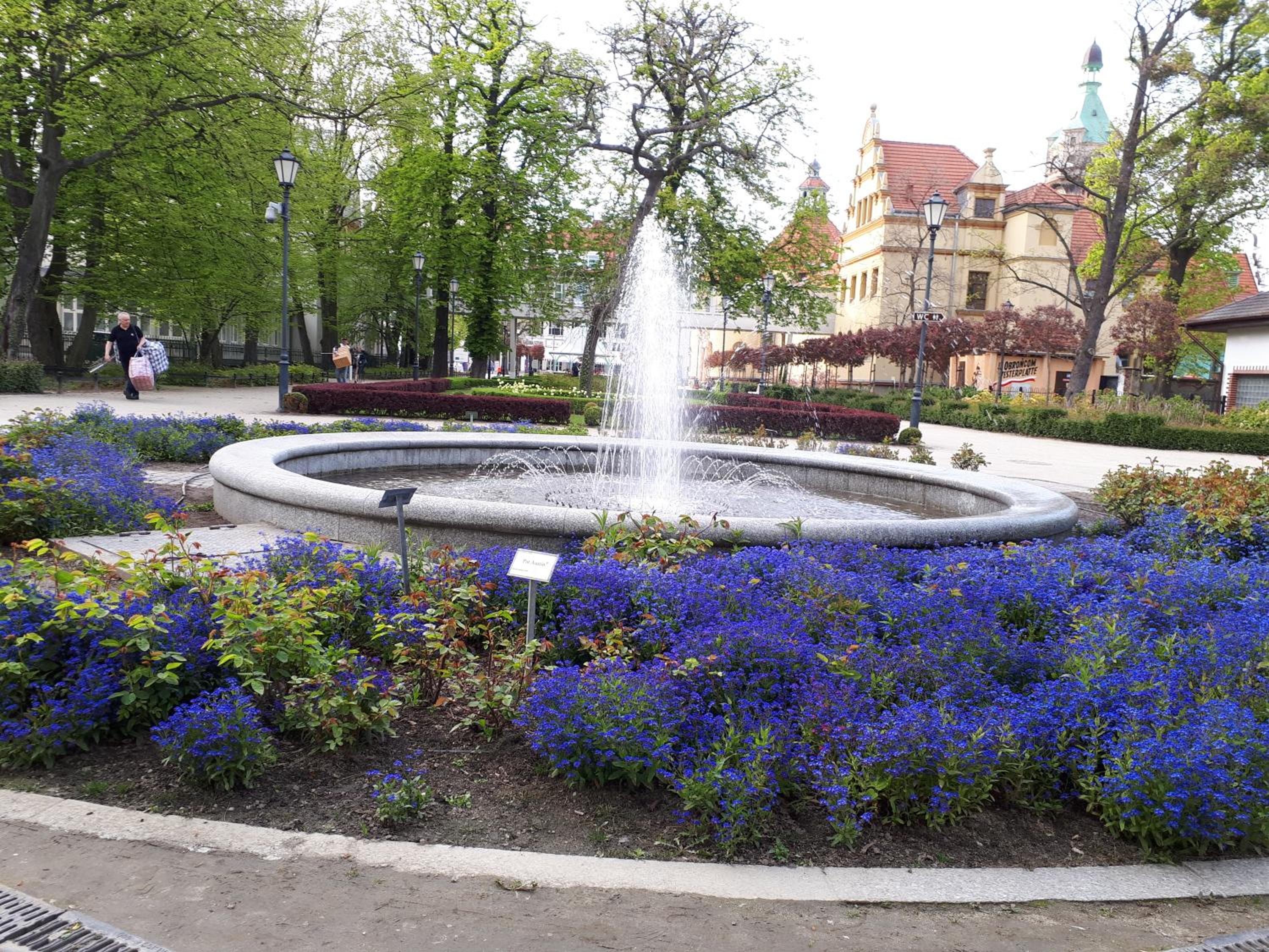 Photo 24