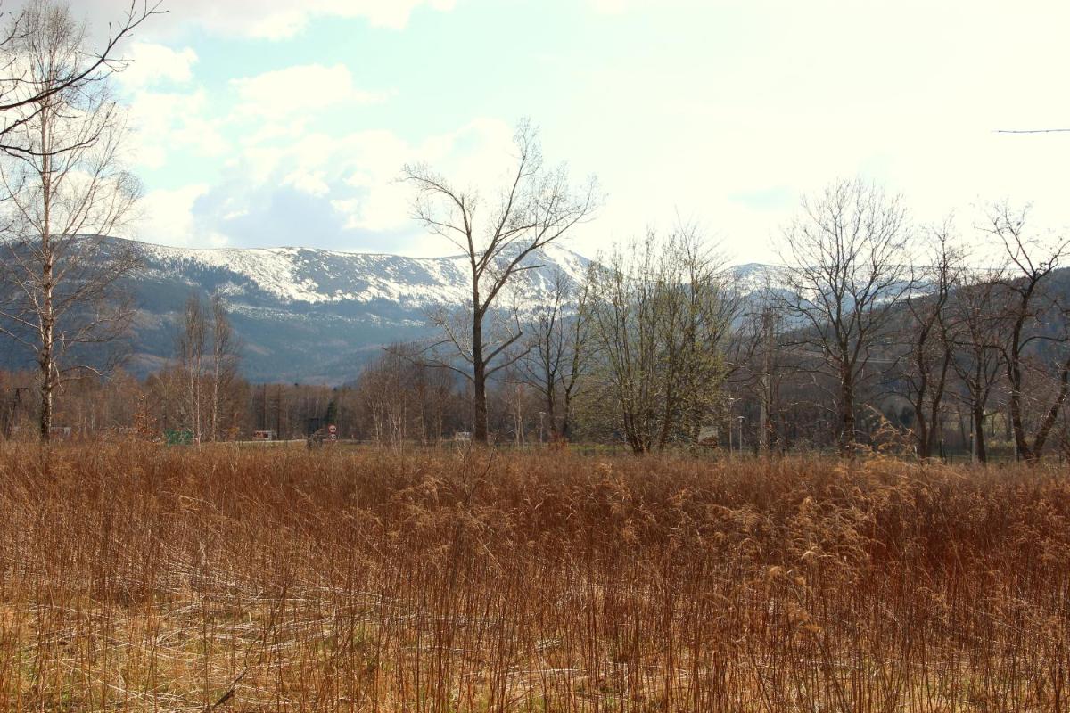 Photo 50