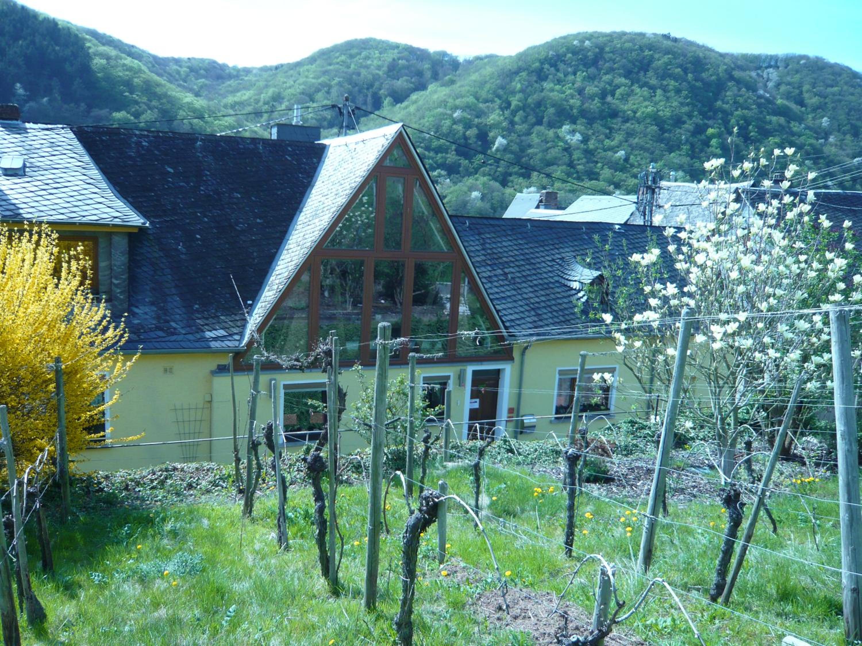 Pension am Weinberg