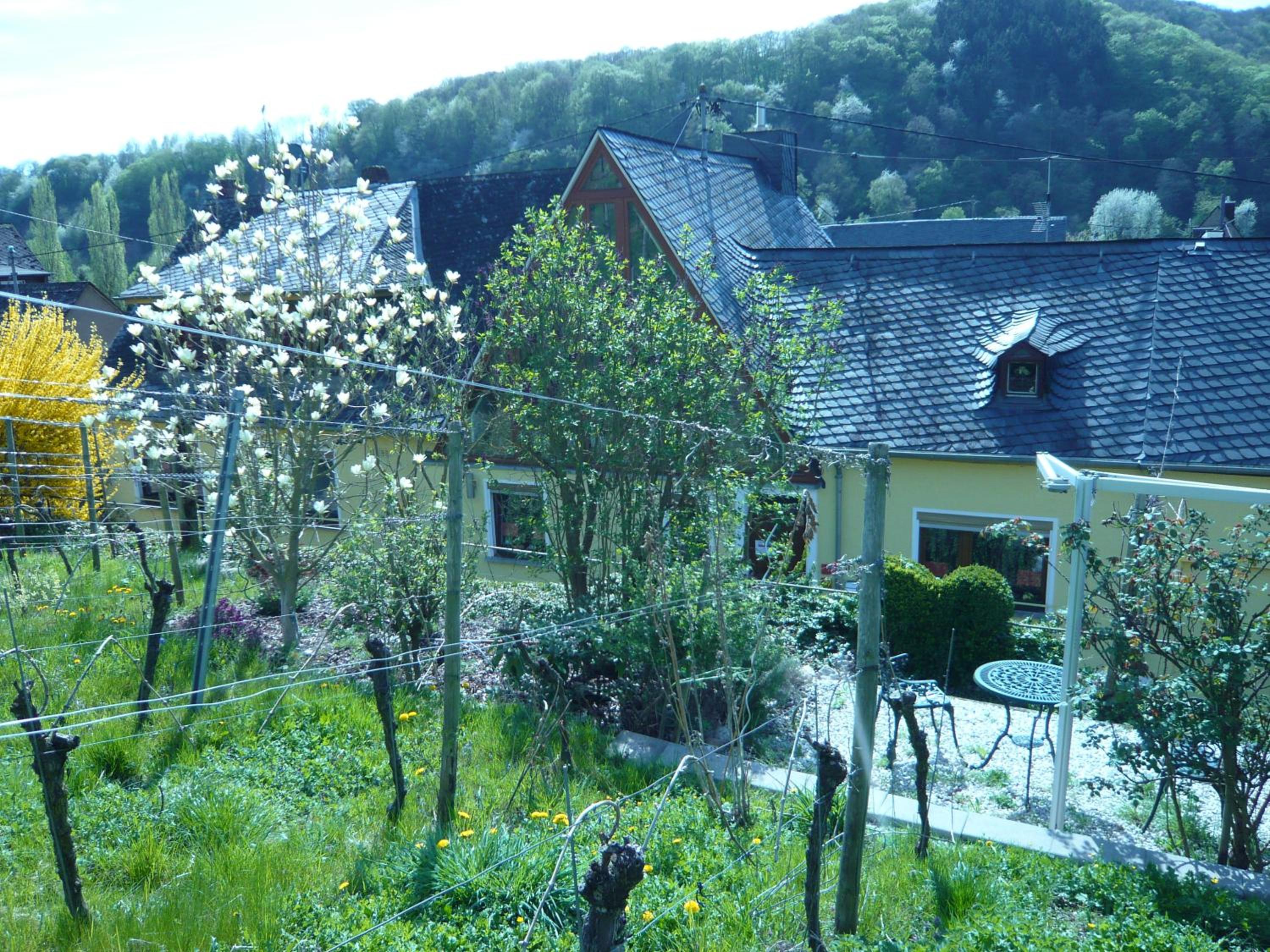 Pension am Weinberg