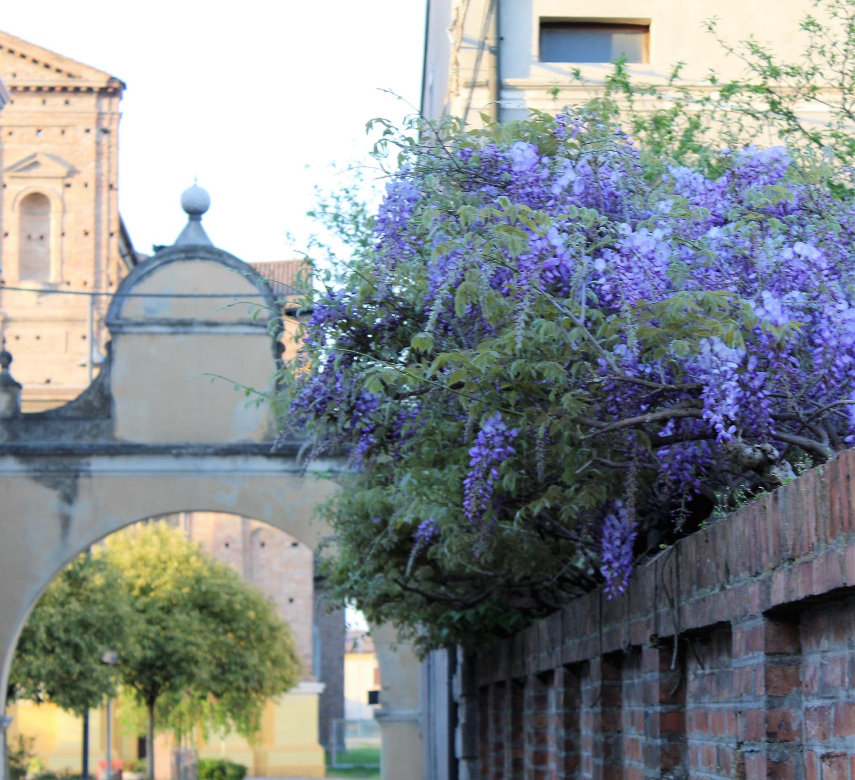 Green House in campagna - Property Image 97