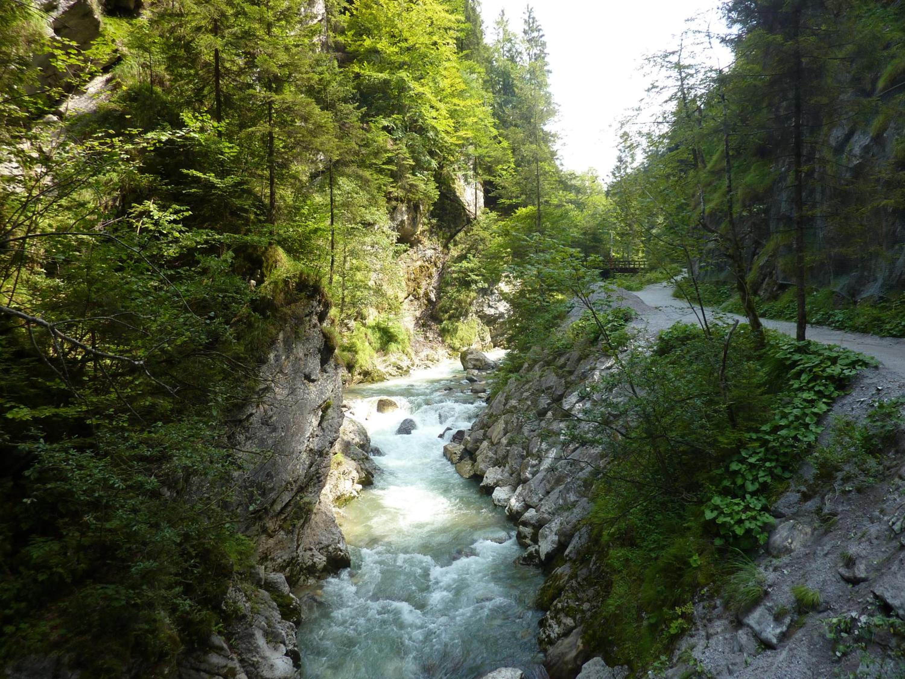 Photo 35