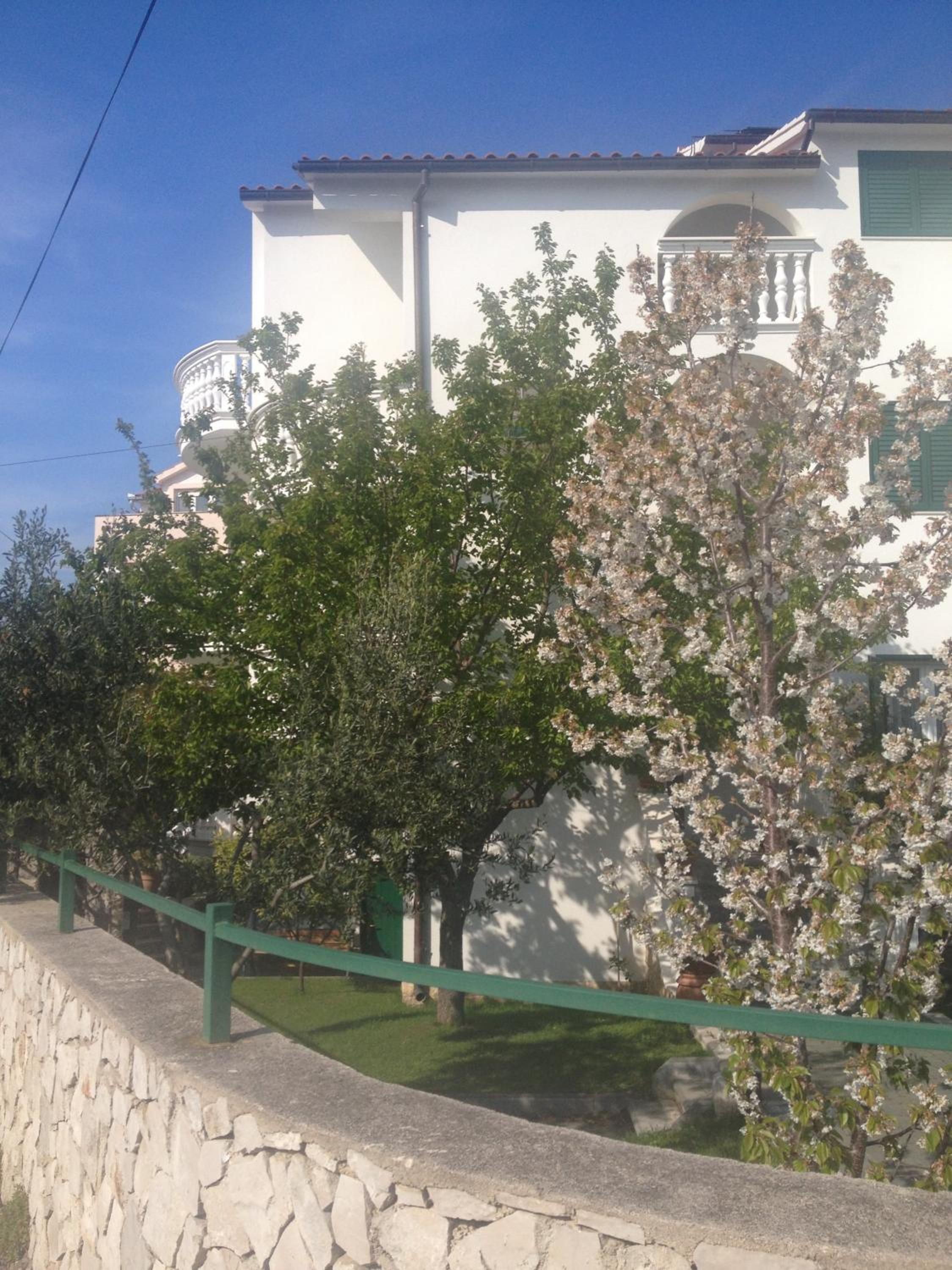 Apartmani Vukičević view 5